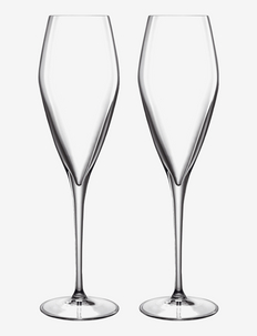 Champagne Glass Prosecco Lb Atelier, Luigi Bormioli
