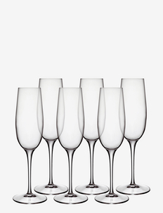 Champagne glass Palace 23,5 cl x 23,8 cm 6 pcs Clear, Luigi Bormioli