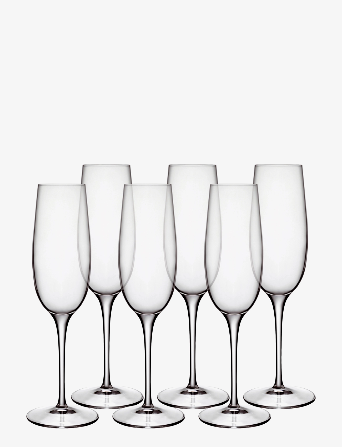 LUIGI BORMIOLI Champagneglas Palace 23,5 Cl 6 Stk. Klar TRANSPAREN - 23.5 CL - Unisex