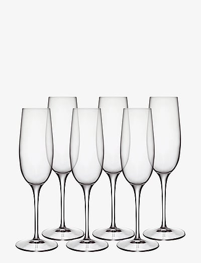 Luigi Bormioli Champagne glass Palace 23,5 cl x 23,8 cm 6 pcs Clear - Sektgläser - TRANSPAREN / clear