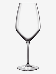 Luigi Bormioli - white wine glass Sauvignon LB Atelier 35 cl x 20,3 cm 6 pcs - balto vyno taurės - transparen - 1