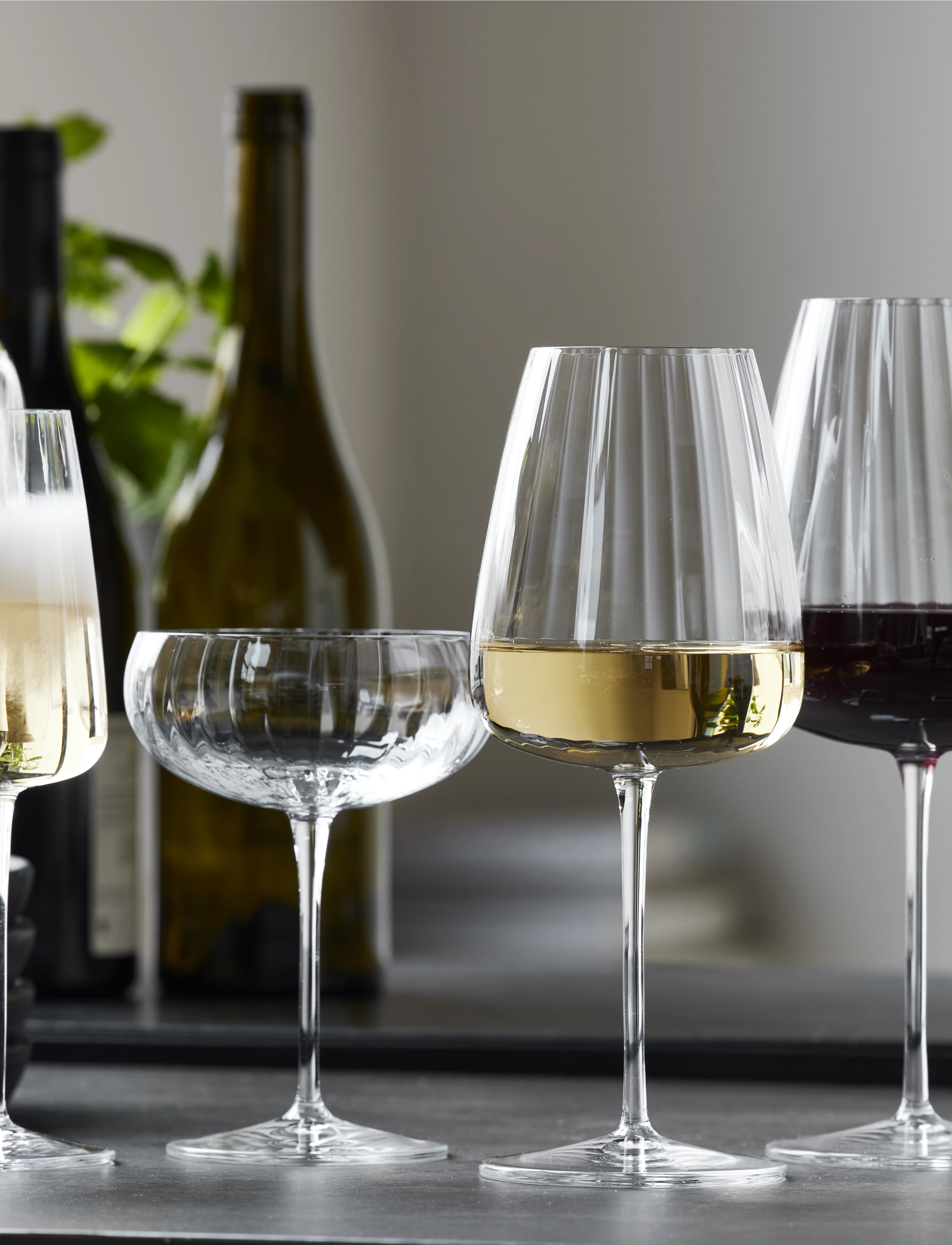 Luigi Bormioli Champagneskål Optica 4 Stk., 30 CL, Glass, Nackt - Champagne Homeware
