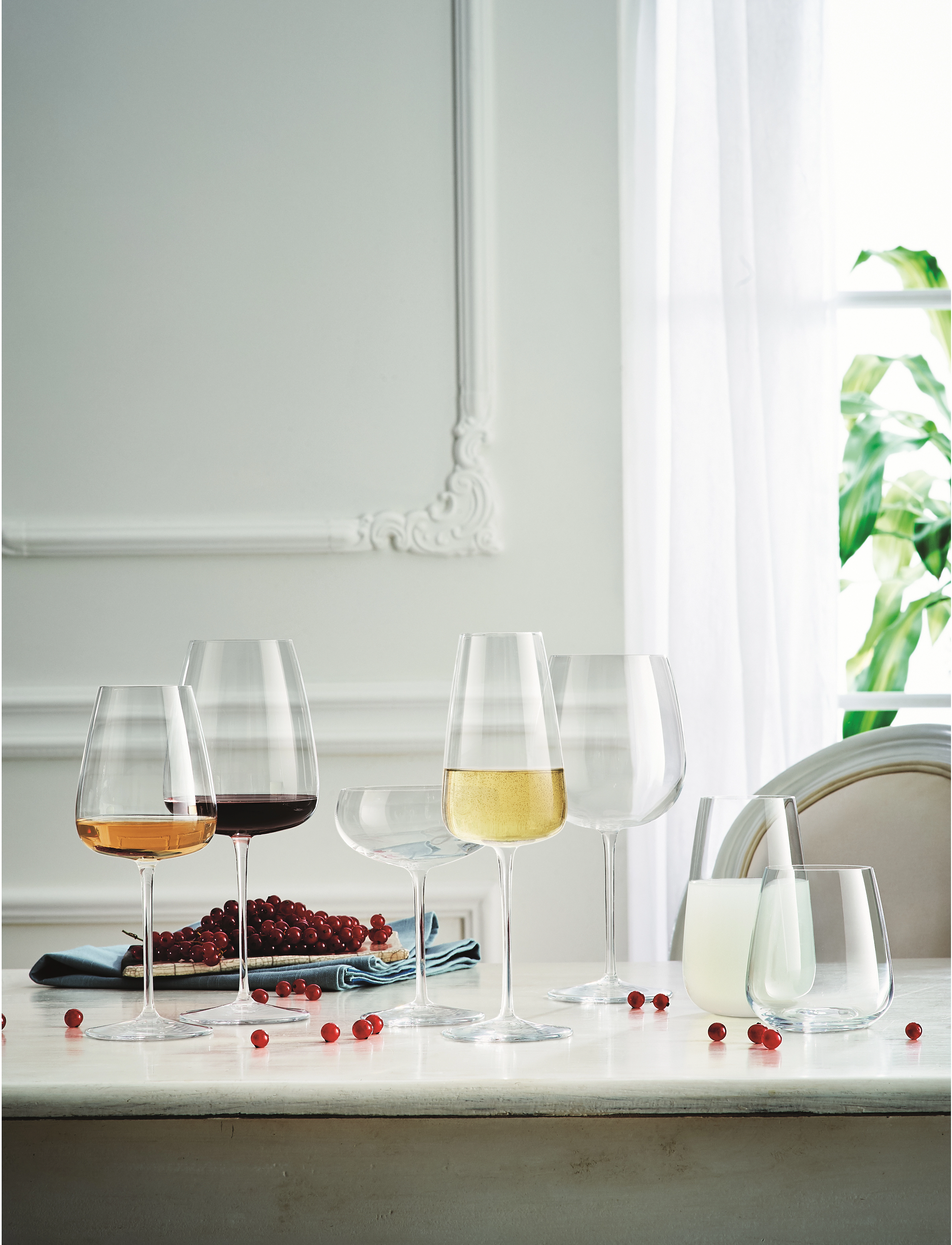 Luigi Bormioli - Champagne coupe I Meravigliosi 6 pcs. - sektgläser - klar - 5