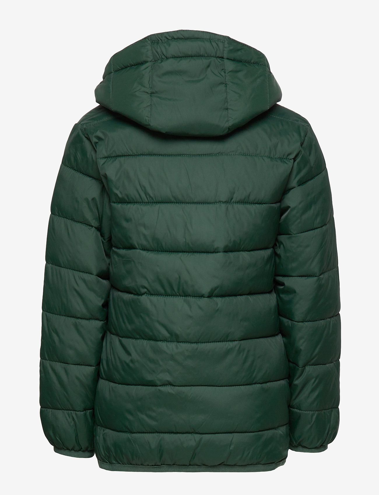 Lyle & Scott Junior - Puffa Jacket - pine grove - 2