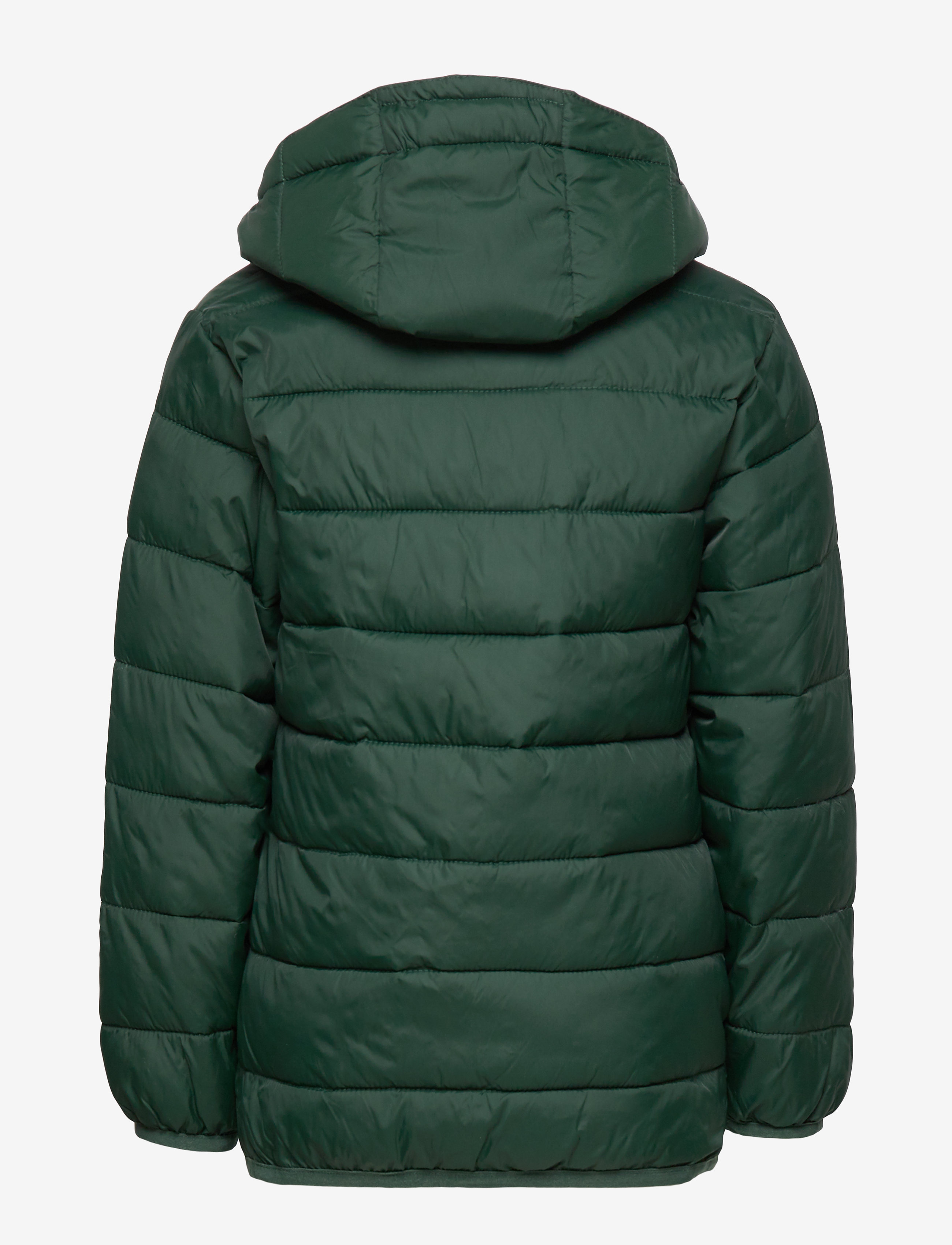 Lyle & Scott Junior - Puffa Jacket - pine grove - 2