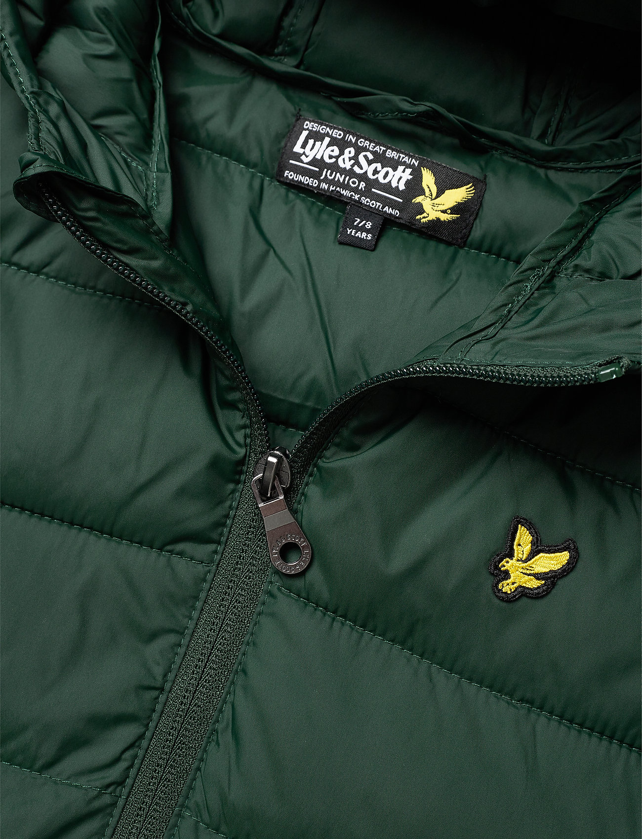 Lyle & Scott Junior - Puffa Jacket - pine grove - 3