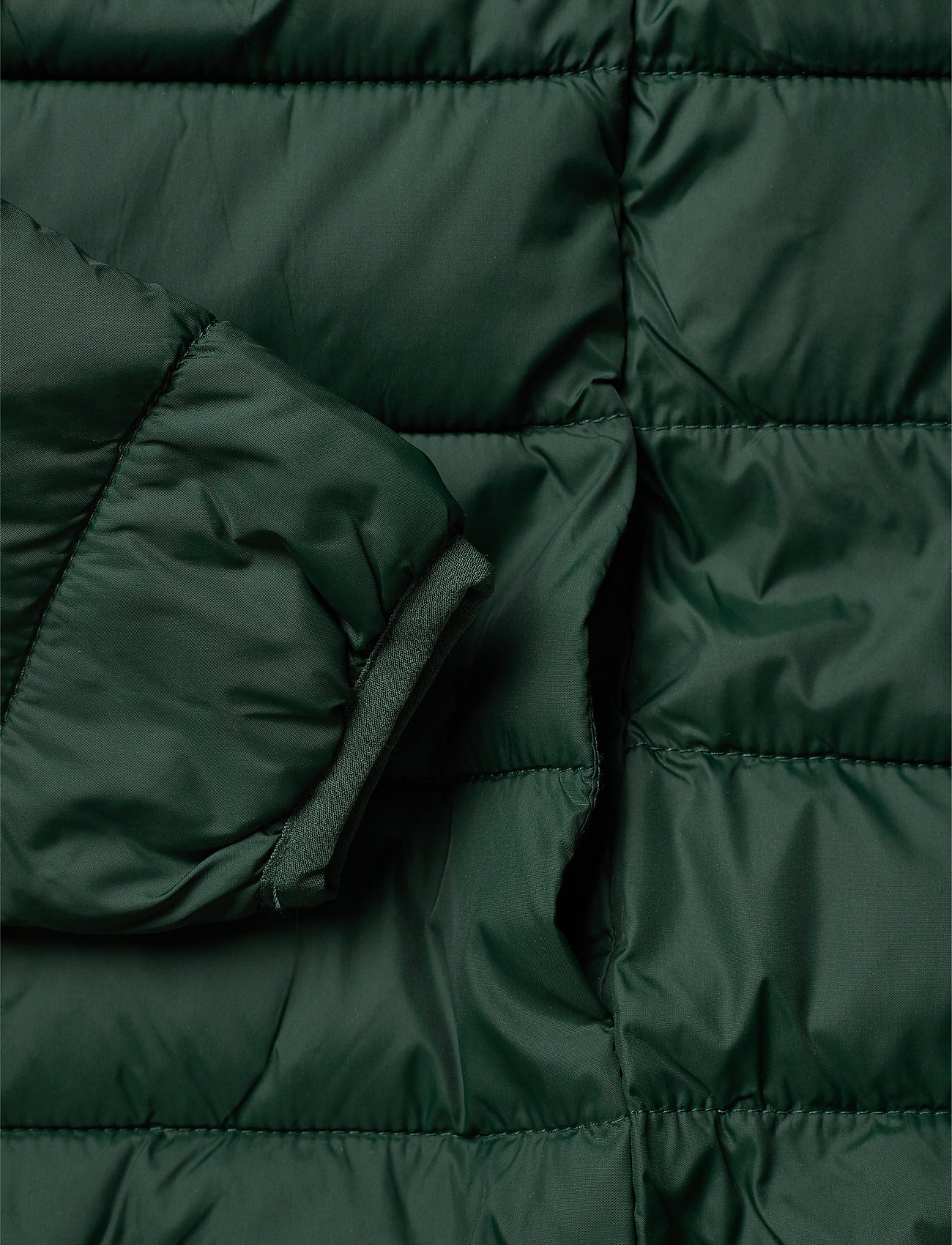 Lyle & Scott Junior - Puffa Jacket - pine grove - 4