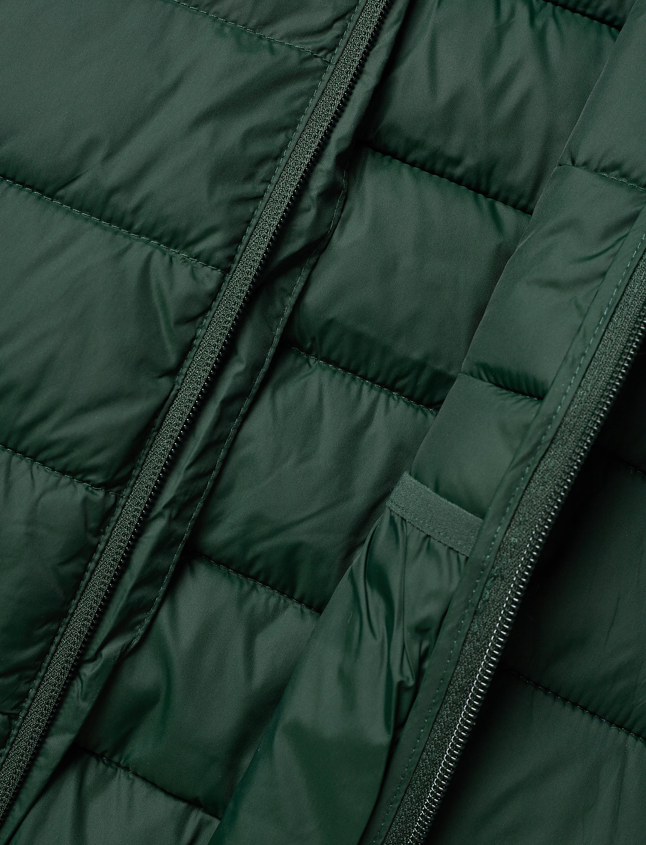 Lyle & Scott Junior - Puffa Jacket - pine grove - 5