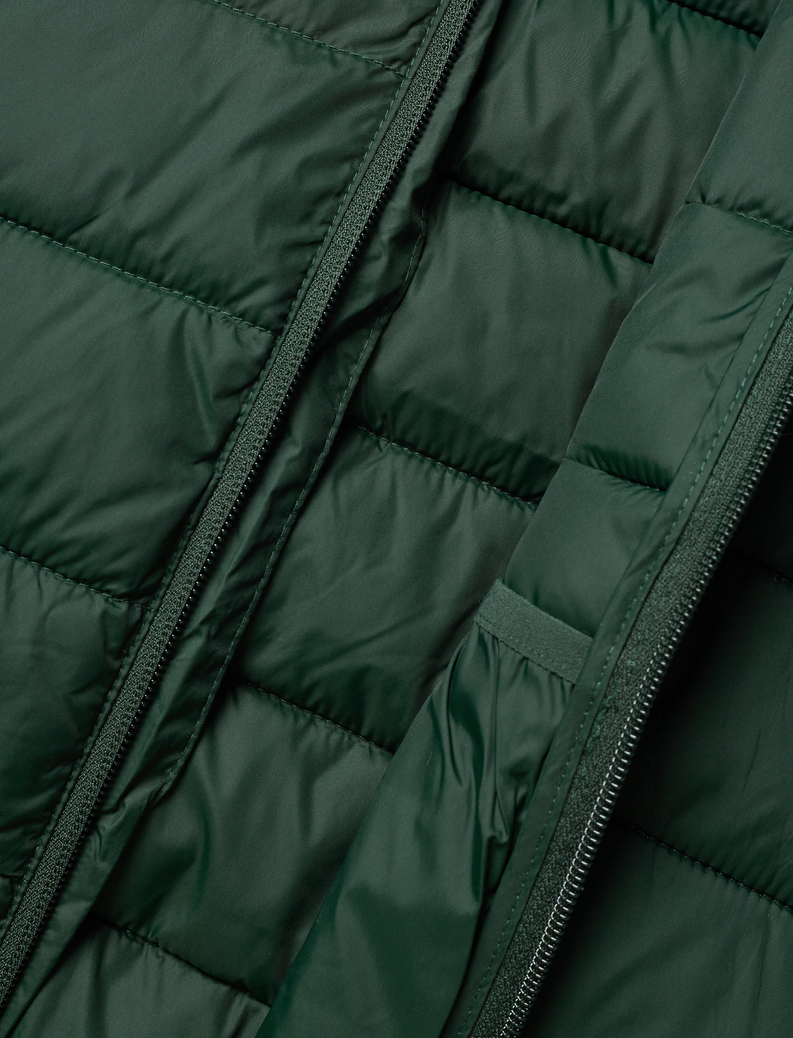 Lyle & Scott Junior - Puffa Jacket - pine grove - 5