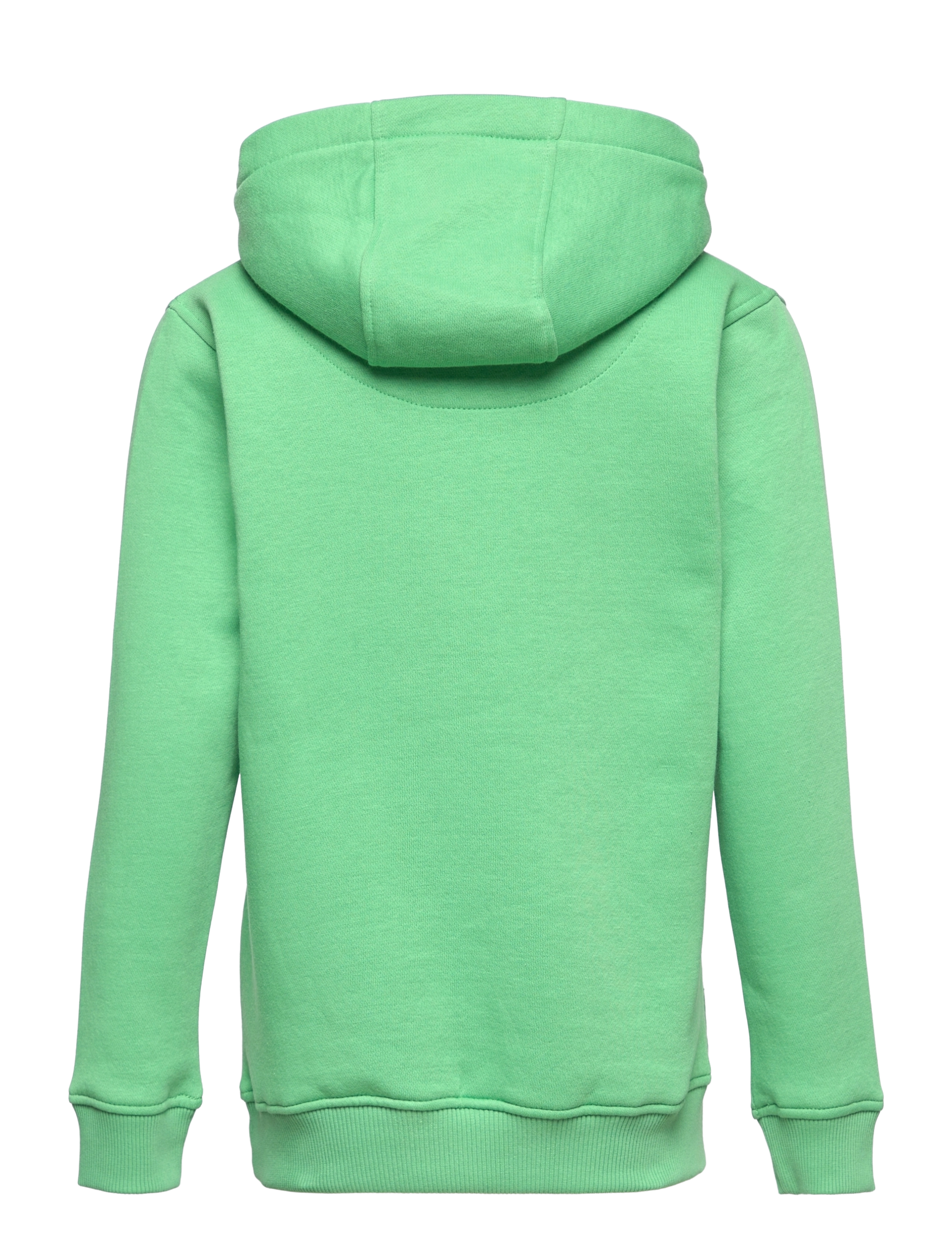 Lyle & Scott Junior - Classic OTH Hoody Fleece - green spruce - 1
