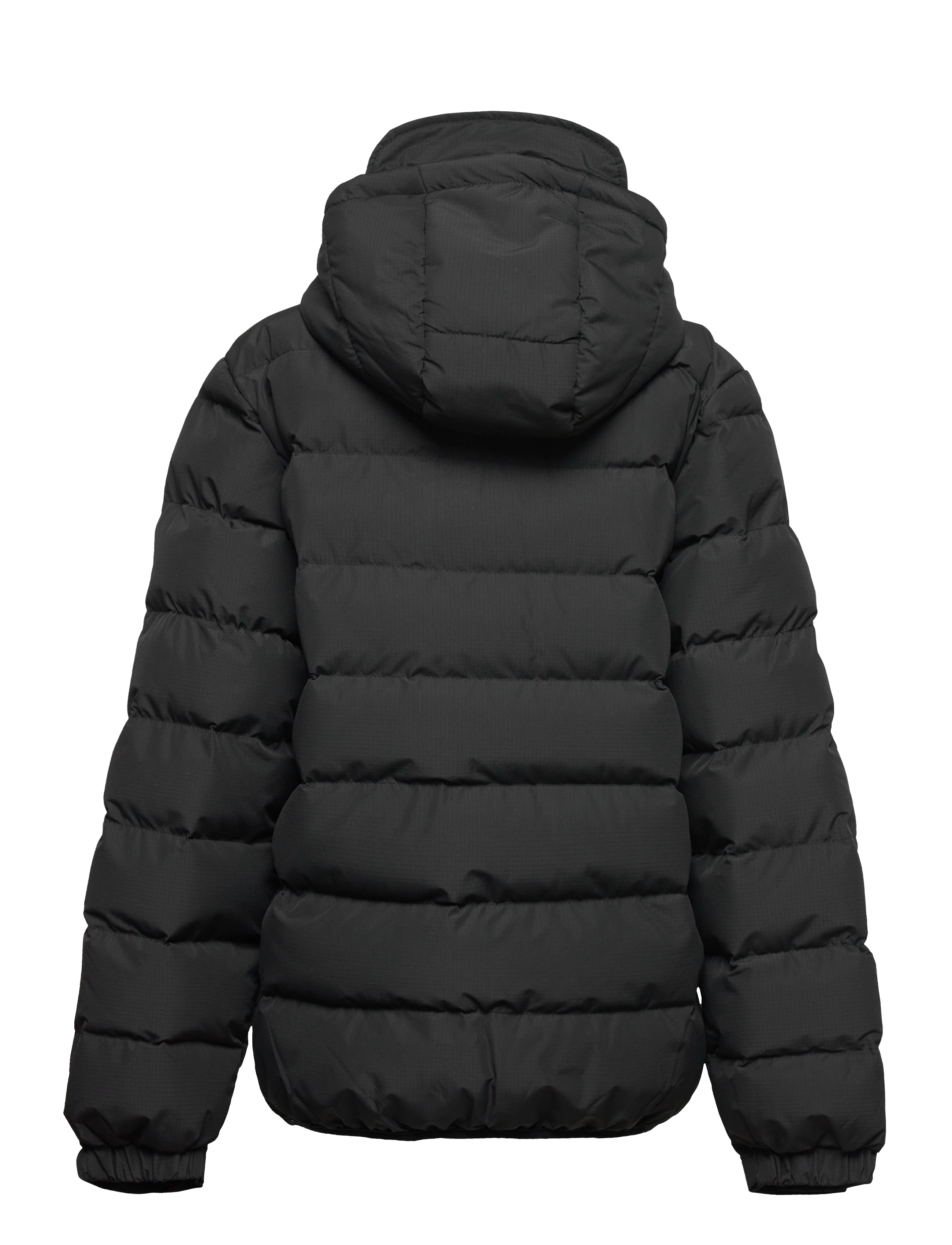 Lyle & Scott Junior - Sport Padded Puffer Jacket - black - 1
