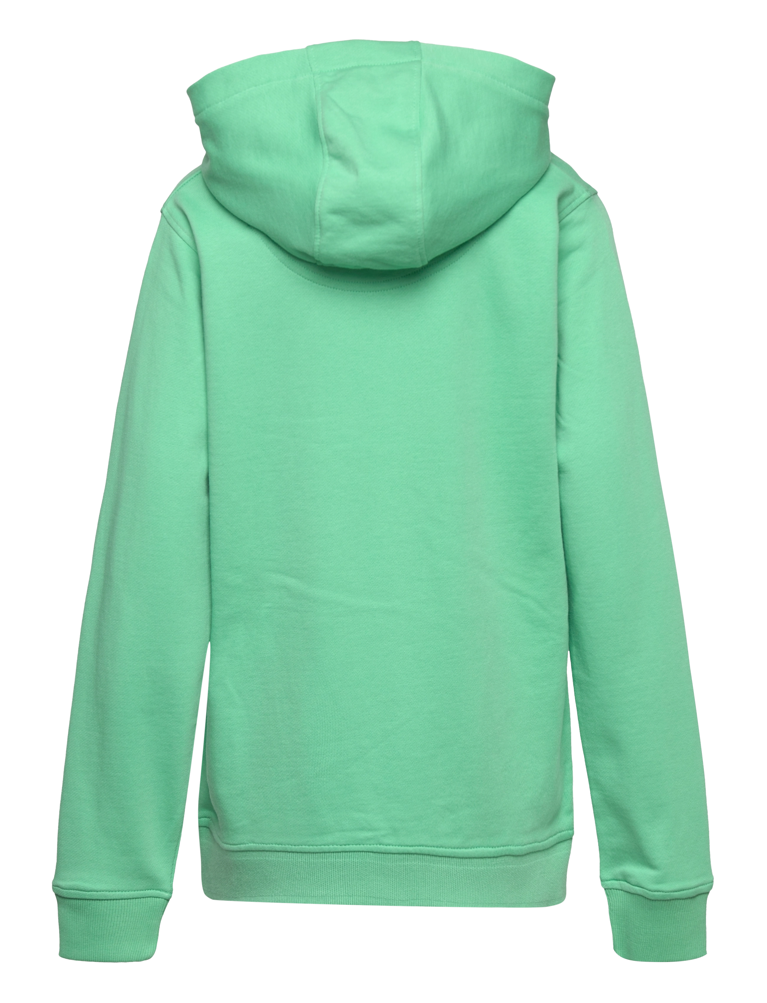 Lyle & Scott Junior - Bottom Branded LB OTH Hoodie - neptune green - 1