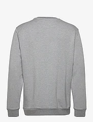 Lyle & Scott Sport - Crew Neck Fly Fleece - sweaters - mid grey marl - 1