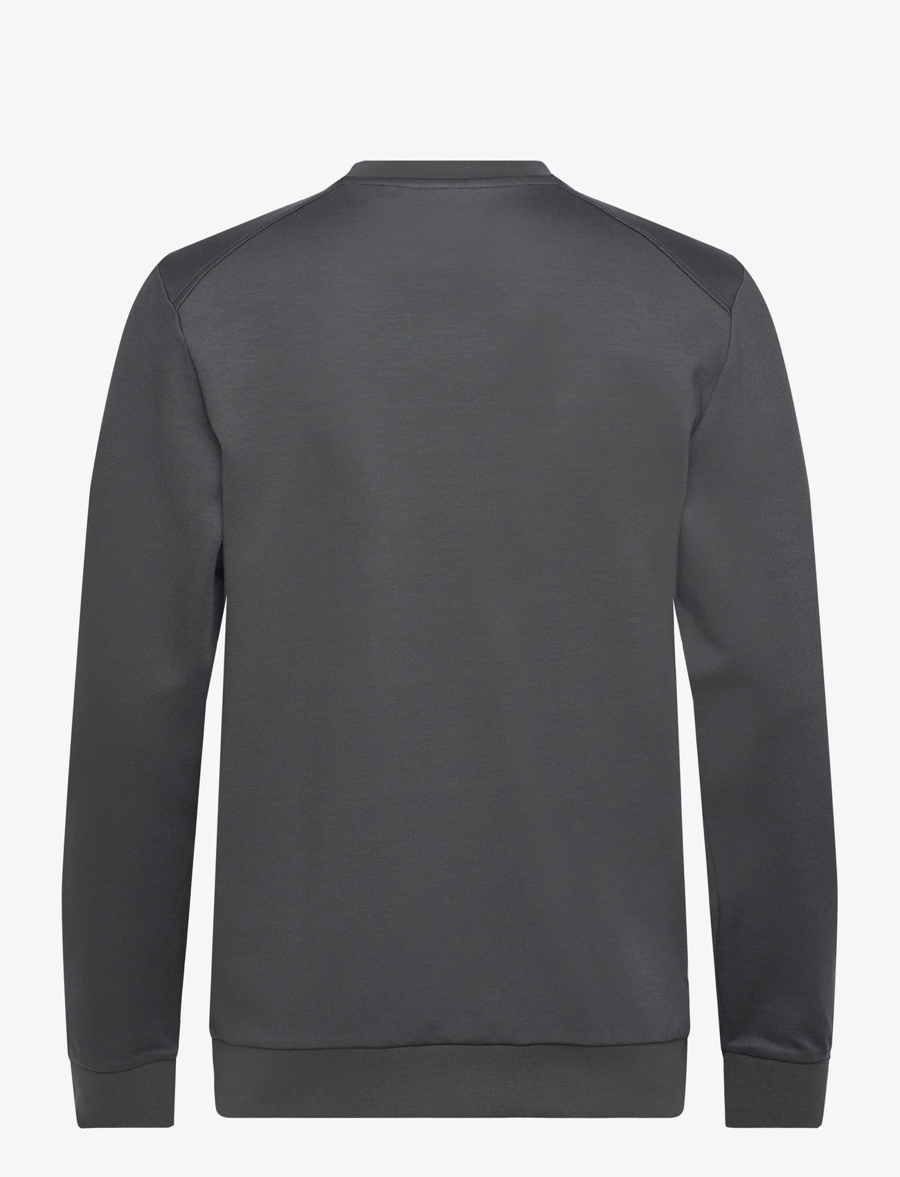 Lyle & Scott Sport - Crew Neck Fly Fleece - sweaters - x129 graphite - 1