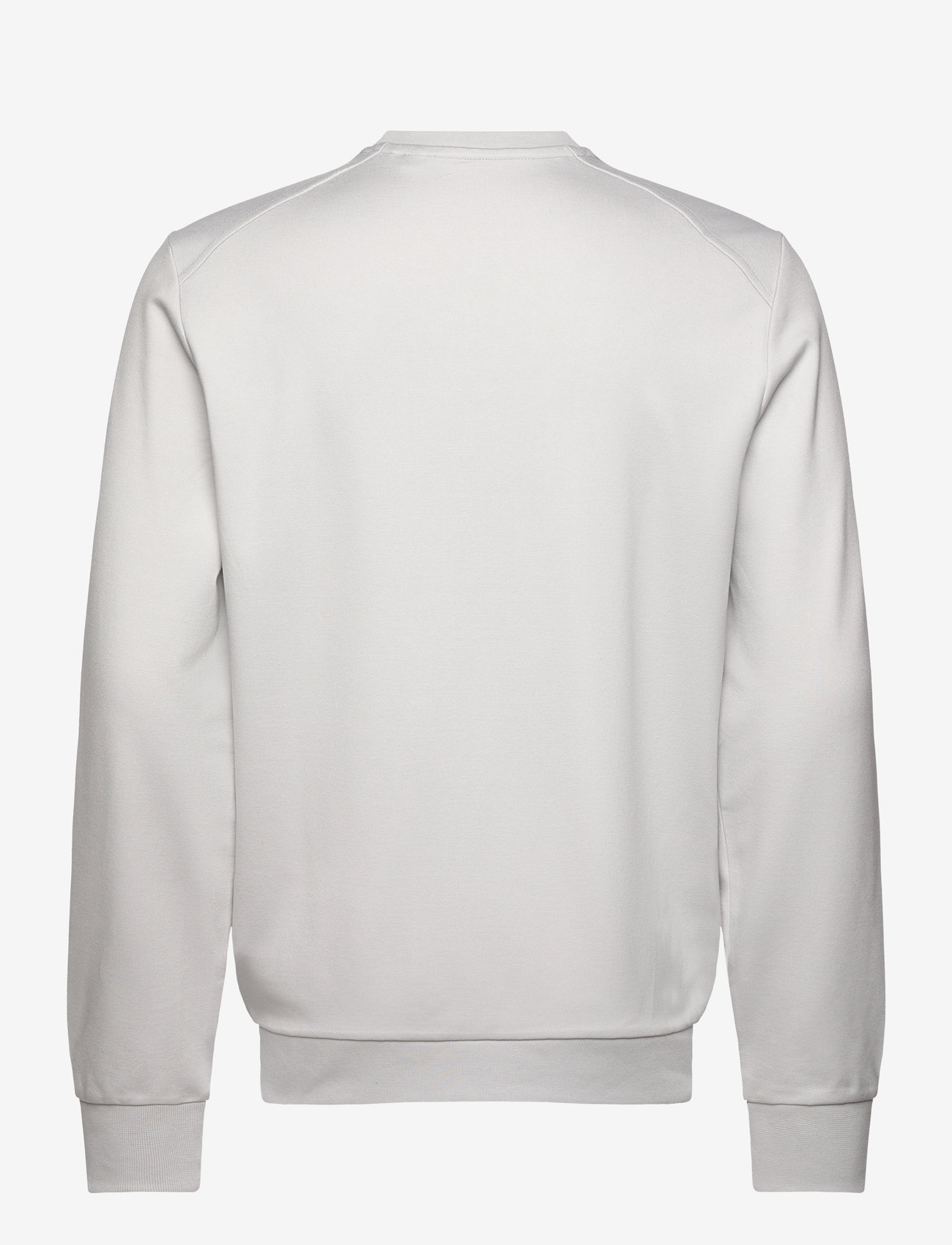 Lyle & Scott Sport - Crew Neck Fly Fleece - sweatshirts - z04 pebble - 1