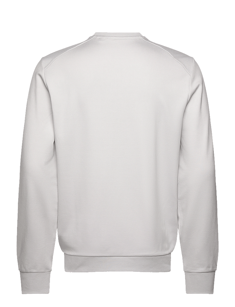 Lyle & Scott Sport - Crew Neck Fly Fleece - sweatshirts - z04 pebble - 1