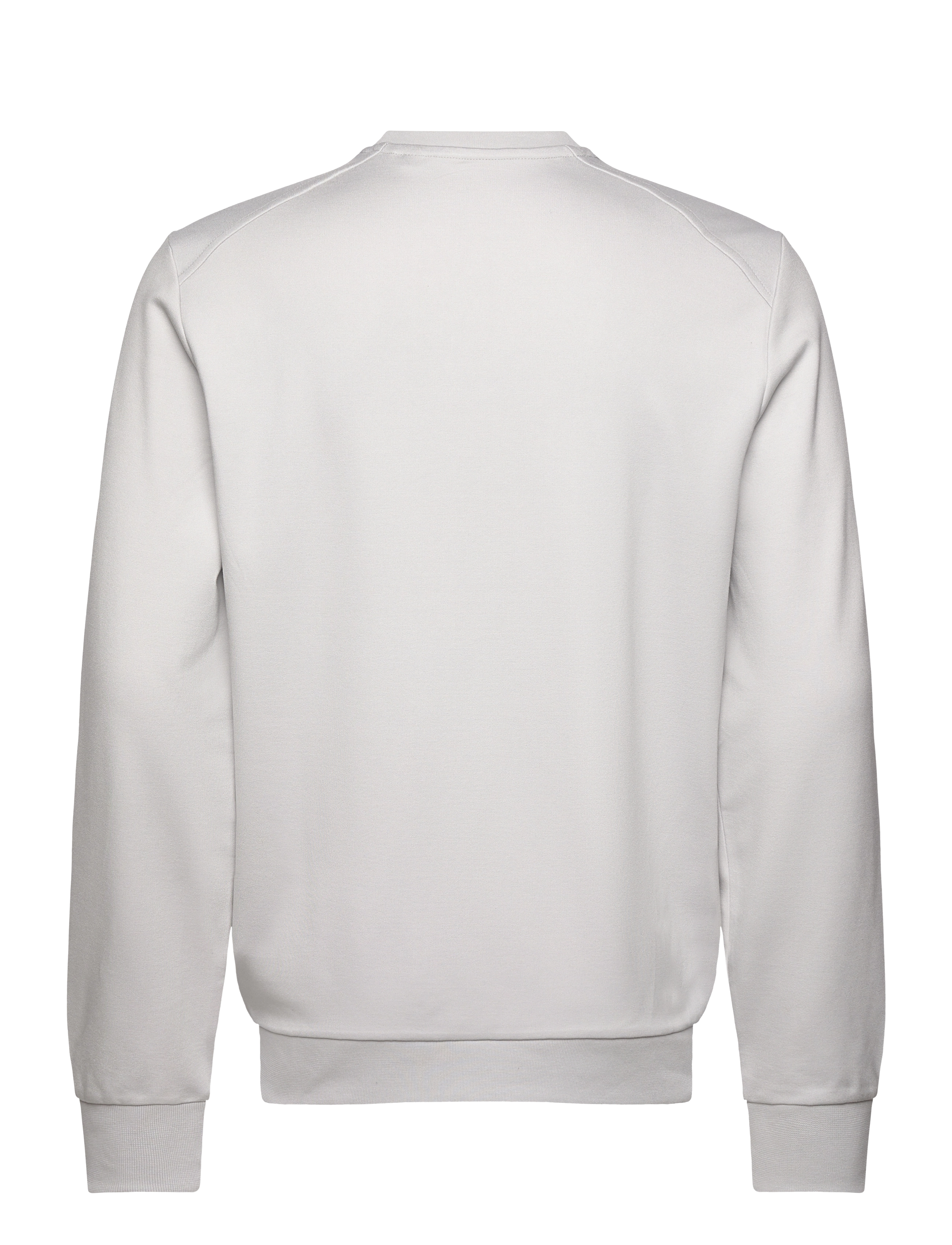 Lyle & Scott Sport - Crew Neck Fly Fleece - sweatshirts - z04 pebble - 1