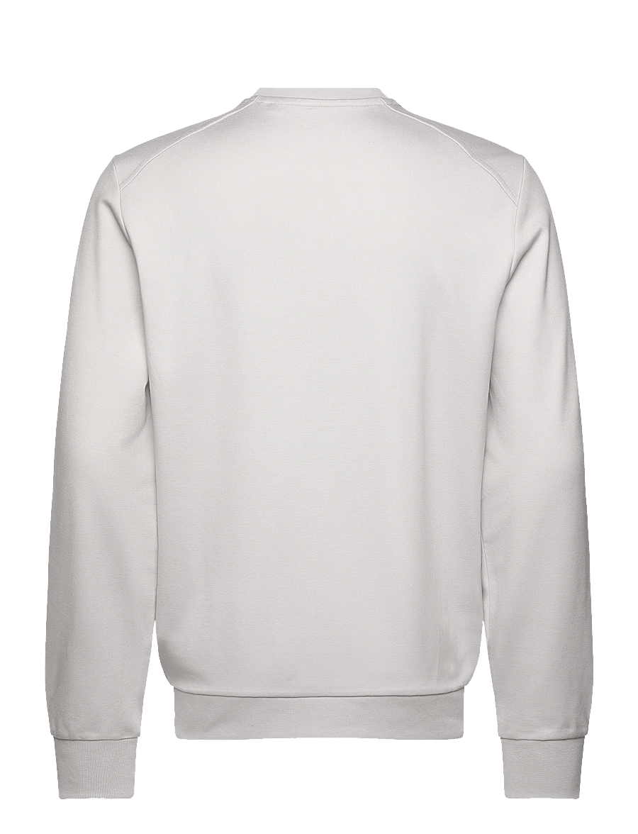 Lyle & Scott Sport - Crew Neck Fly Fleece - sweatshirts - z04 pebble - 1