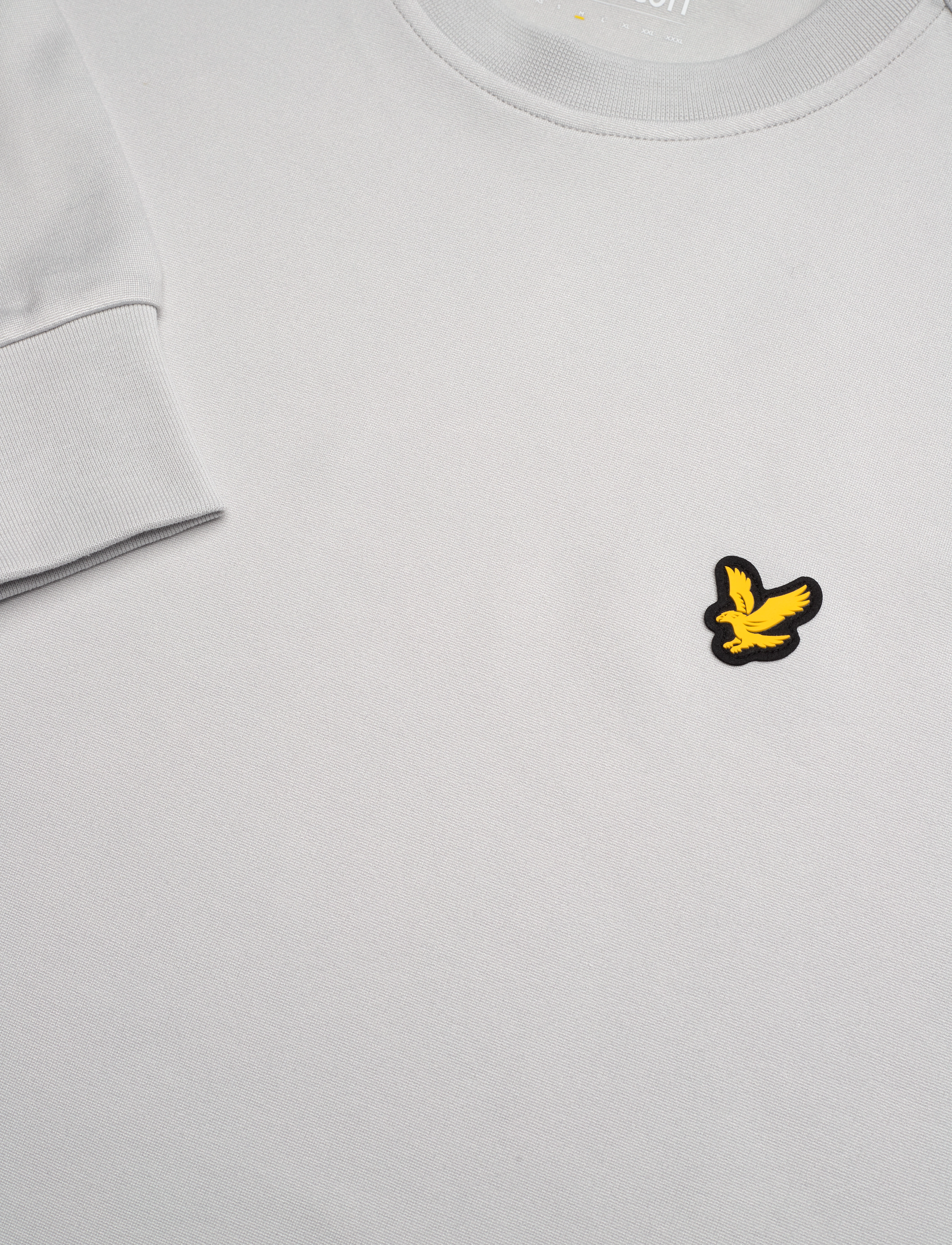 Lyle & Scott Sport - Crew Neck Fly Fleece - sweatshirts - z04 pebble - 2