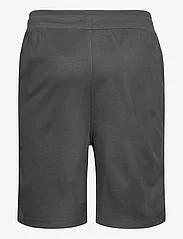 Lyle & Scott Sport - Fly Fleece Shorts - sportiska stila šorti - x129 graphite - 1