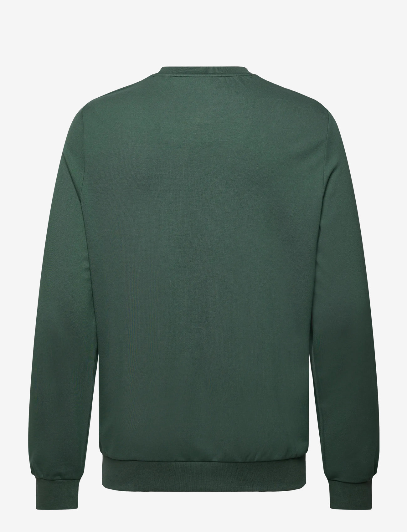 Lyle & Scott Sport - Crew Neck Fly Fleece - sweatshirts - x858 silver pine - 2