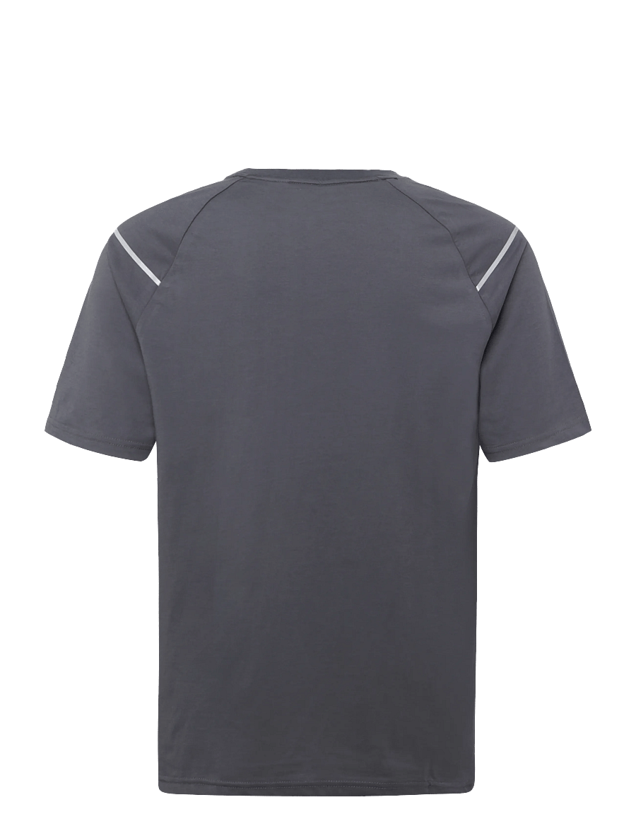 Lyle & Scott Sport - Reflective Raglan T-shirt - palaidinės ir marškinėliai - turbulence - 1