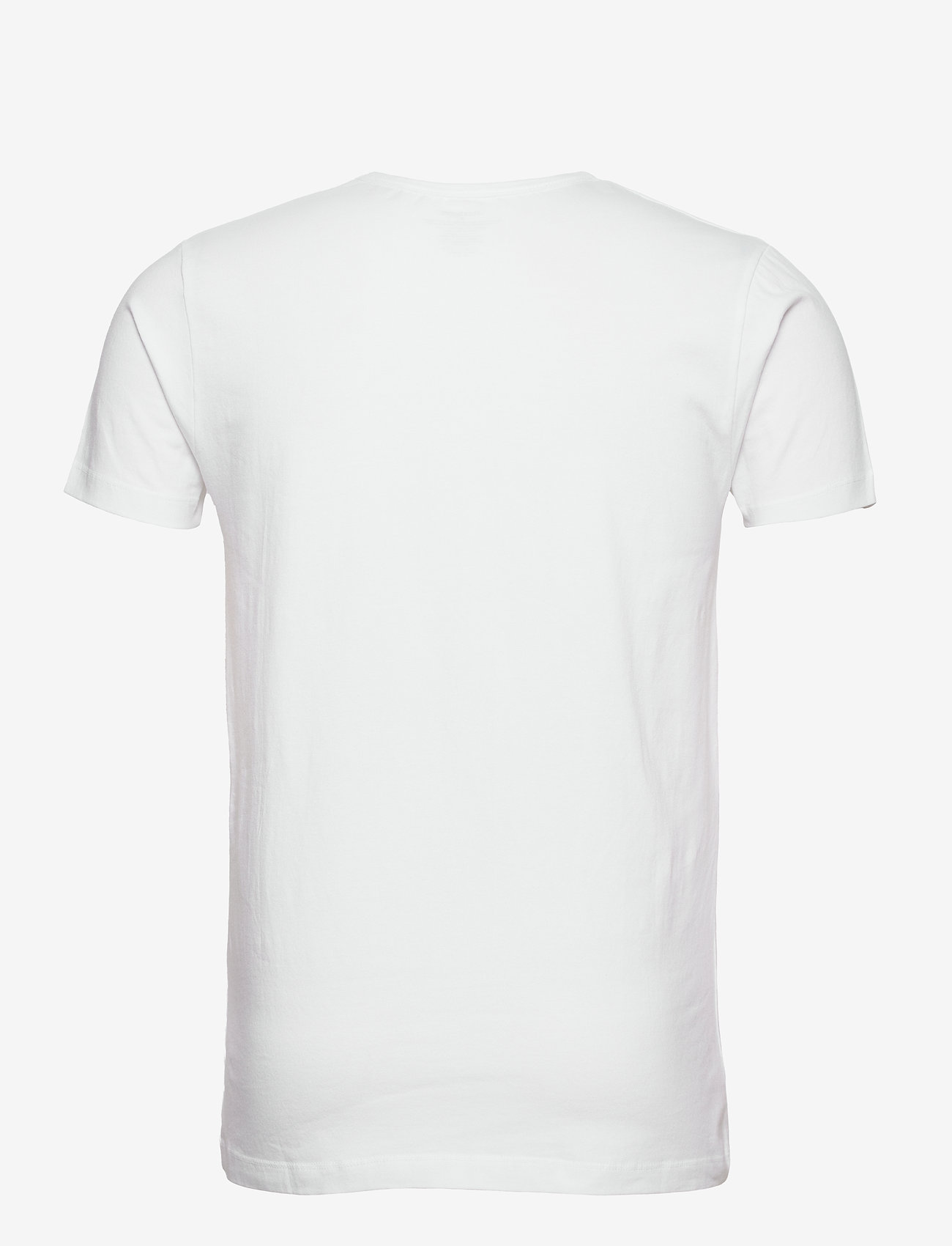 Lyle & Scott - MAXWELL - black - bright white - neptune green - 4