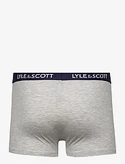 Lyle & Scott - MILLER - trunks - peacoat/ pale olive green/ light grey marl/ wine tasting/ bright white - 3