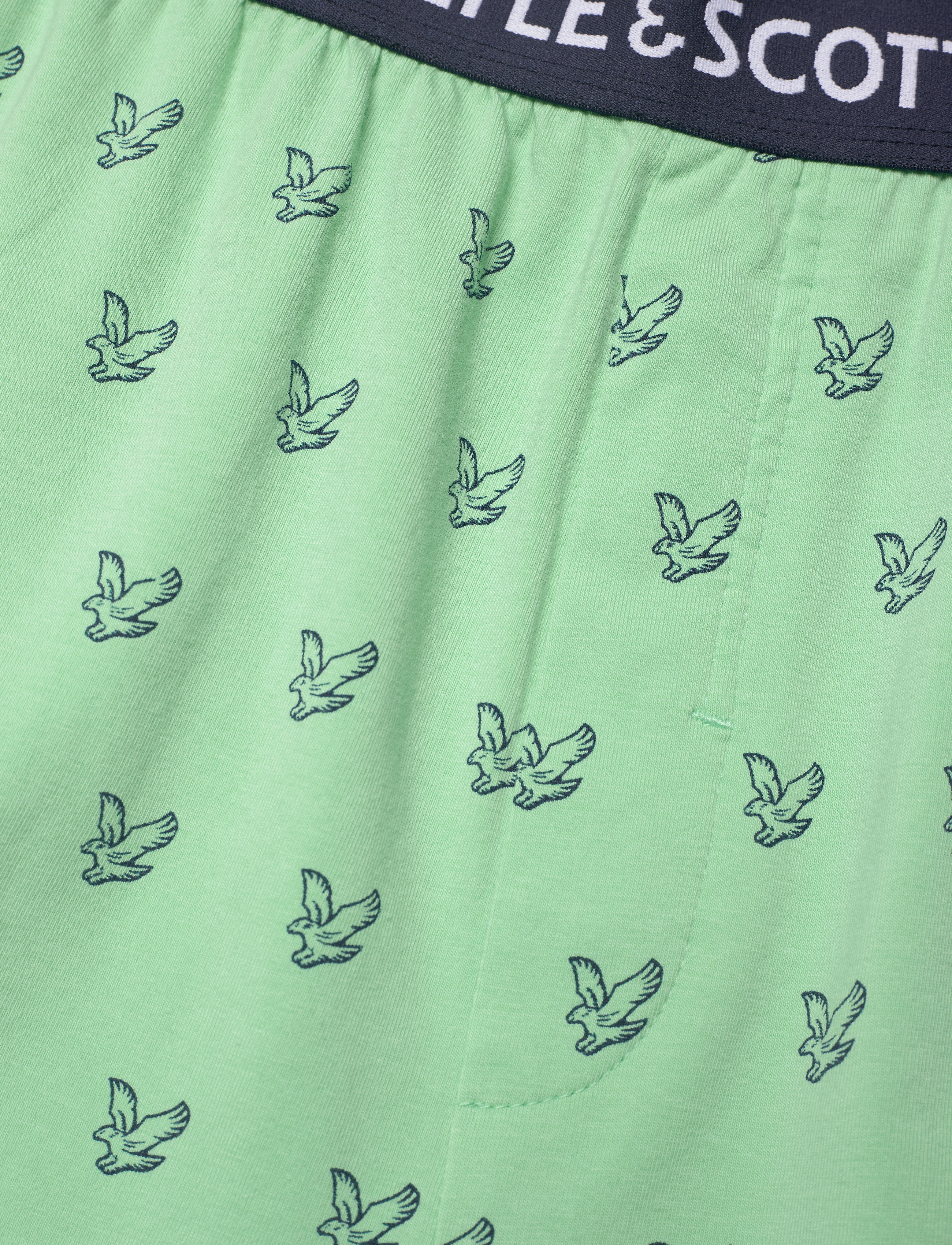 Lyle & Scott - LAWSON - bright white/neptune green - 5