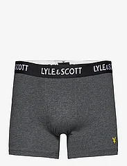 Lyle & Scott - FLOYD - bokserid - dark grey marl/stripe/black/stripe/wine tasting - 7