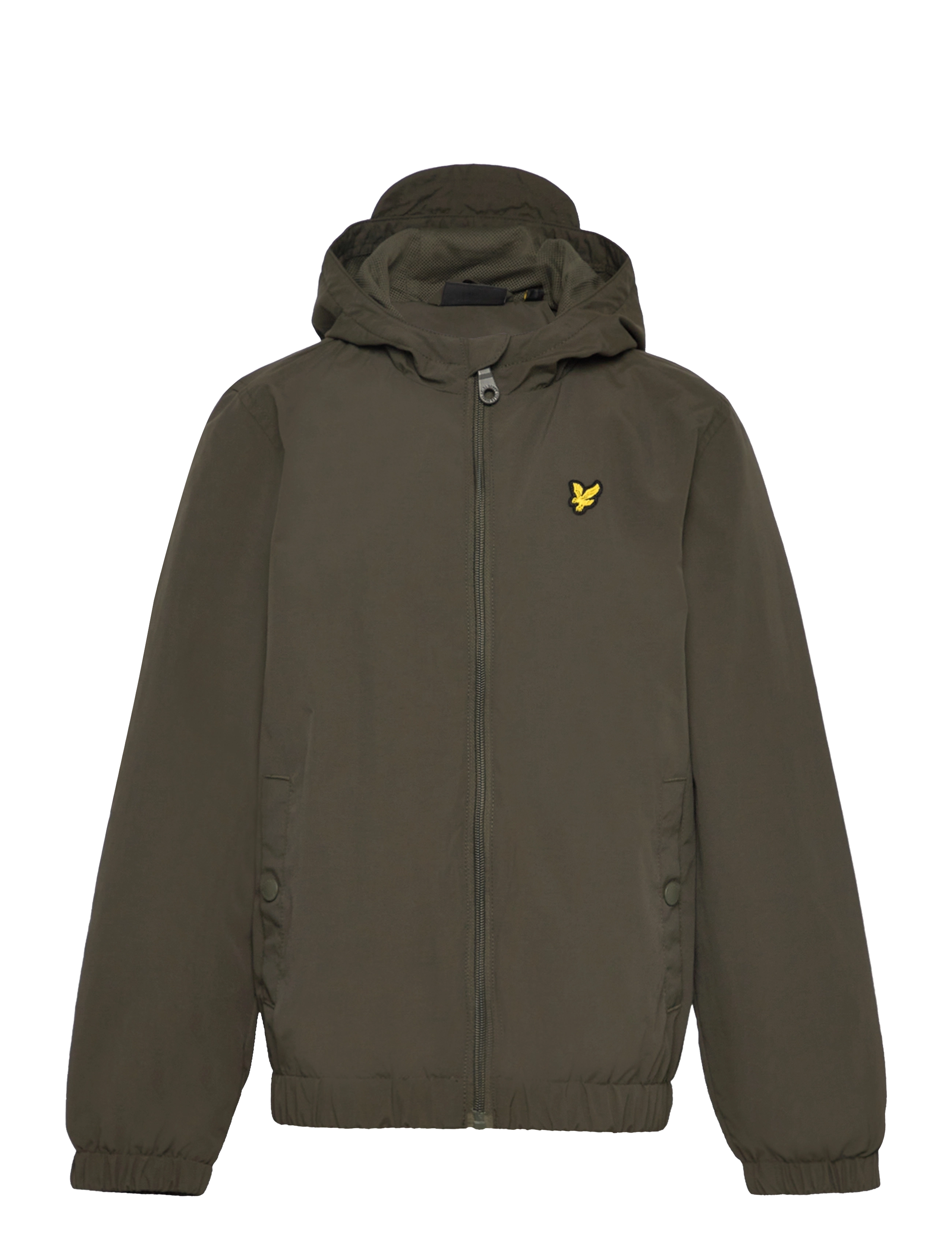 W485 OLIVE