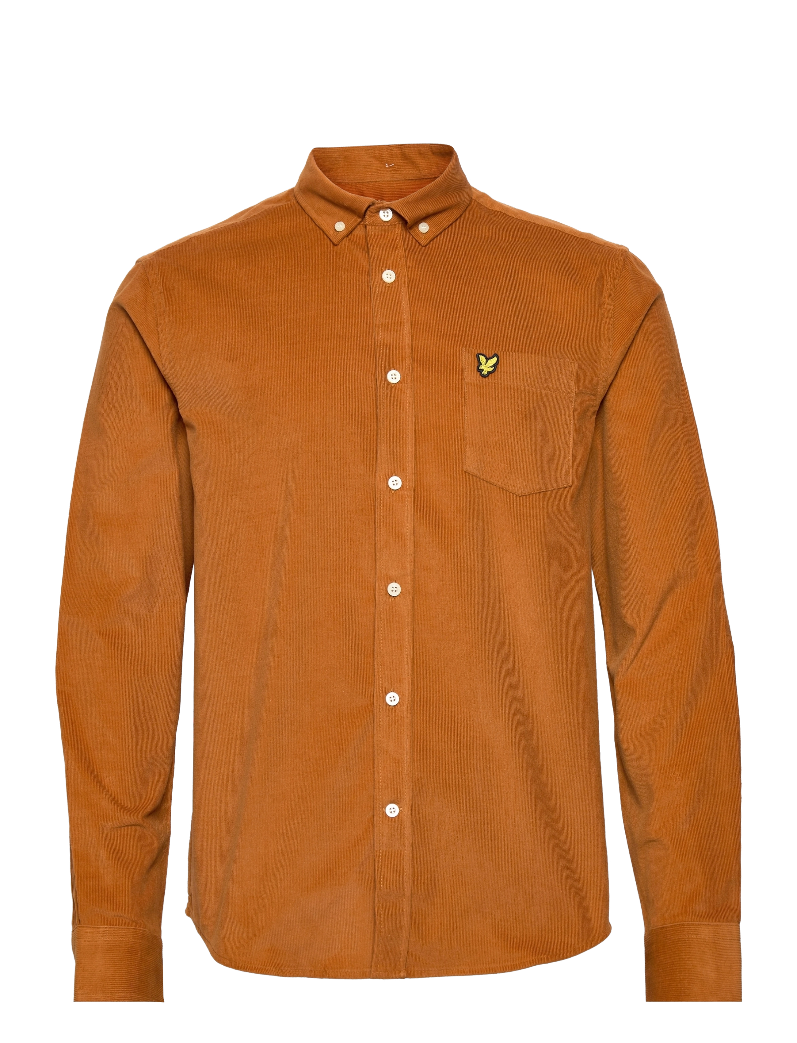CIDER BROWN