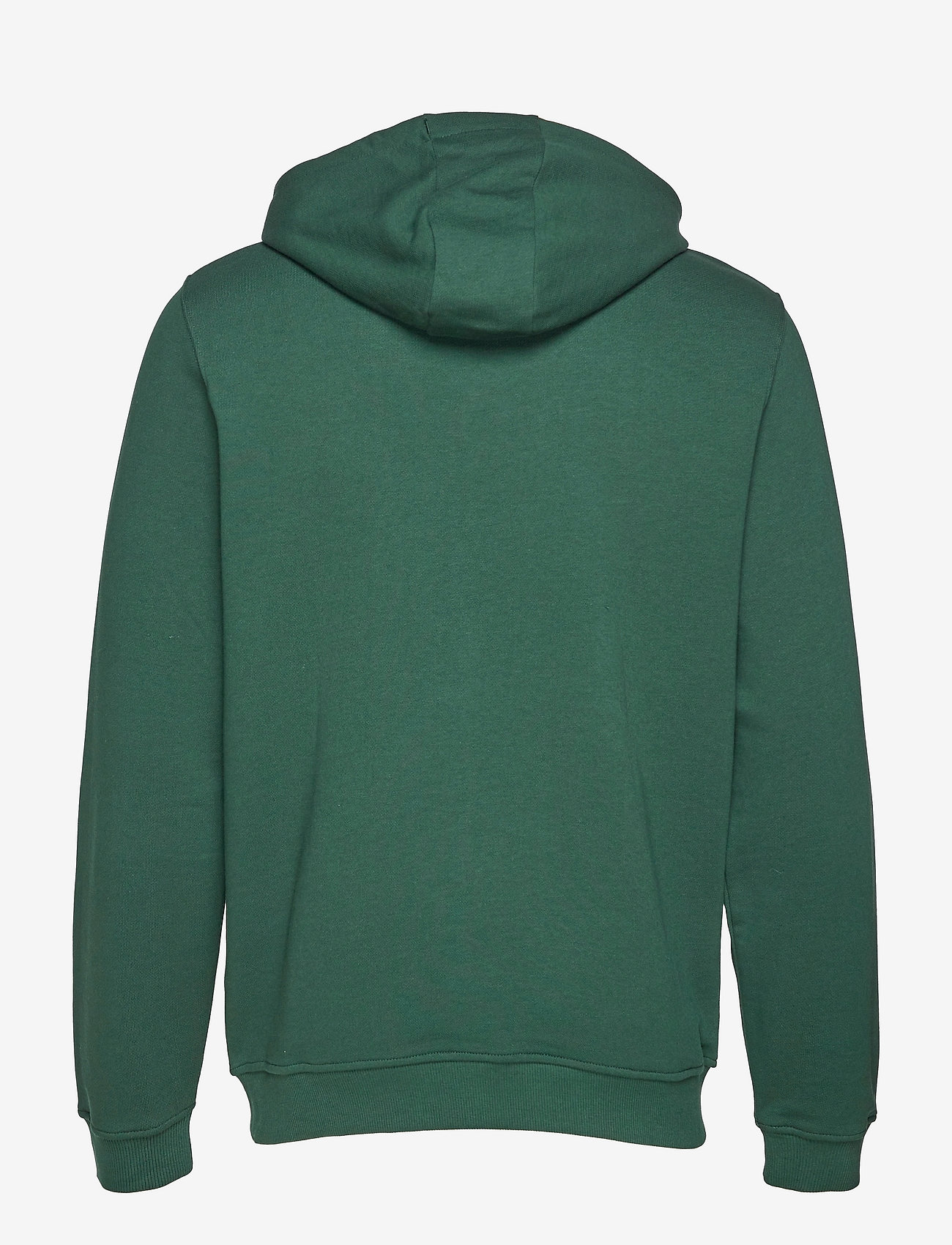 Lyle & Scott - Zip Through Hoodie - kapuutsiga dressipluusid - dark green - 2