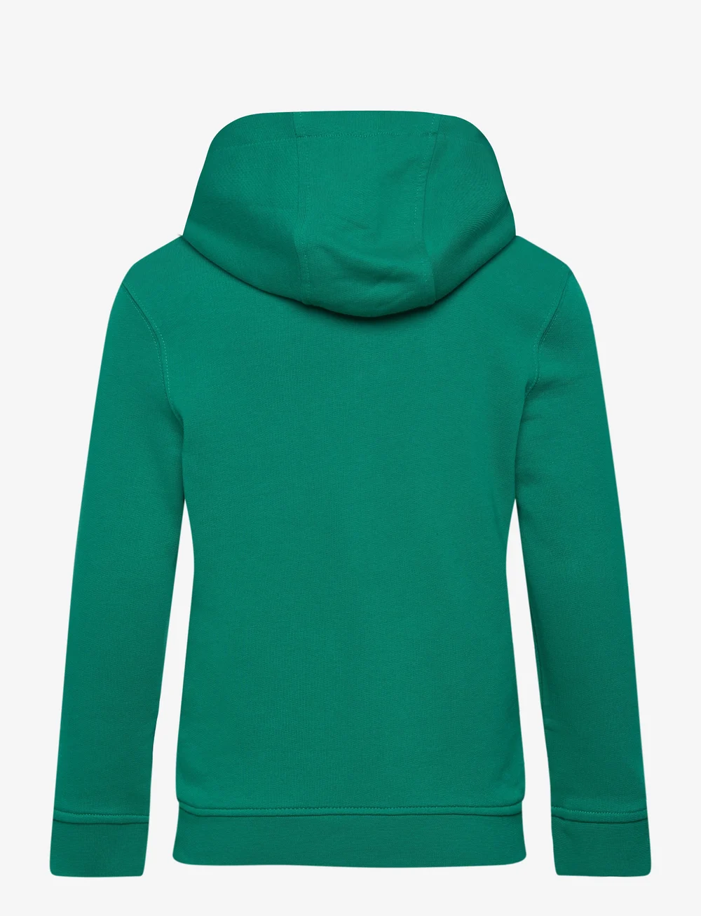 Lyle & Scott - 1874 Patch Graphic Hoodie - kapuutsiga dressipluusid - x154 court green - 1