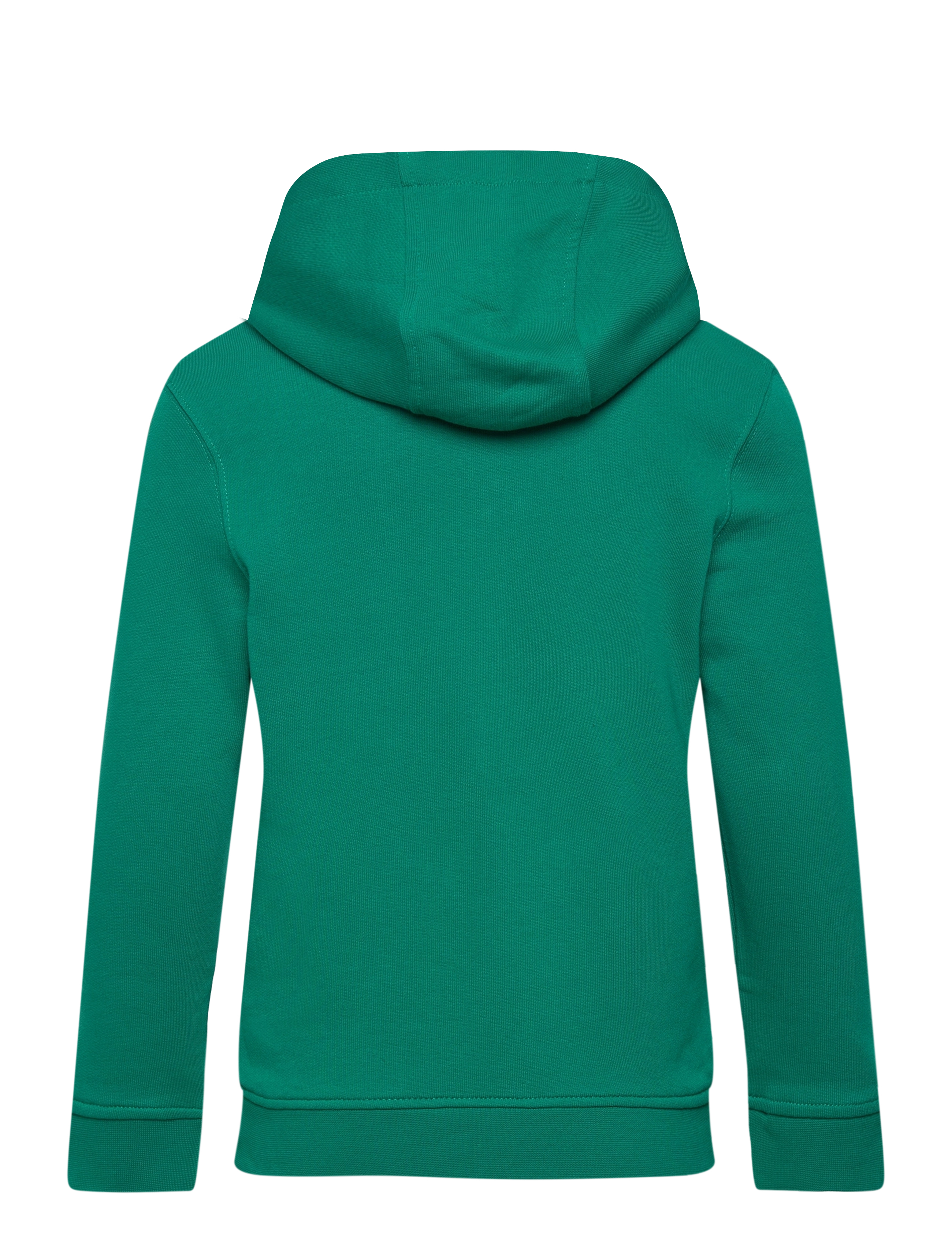 Lyle & Scott - 1874 Patch Graphic Hoodie - x154 court green - 1