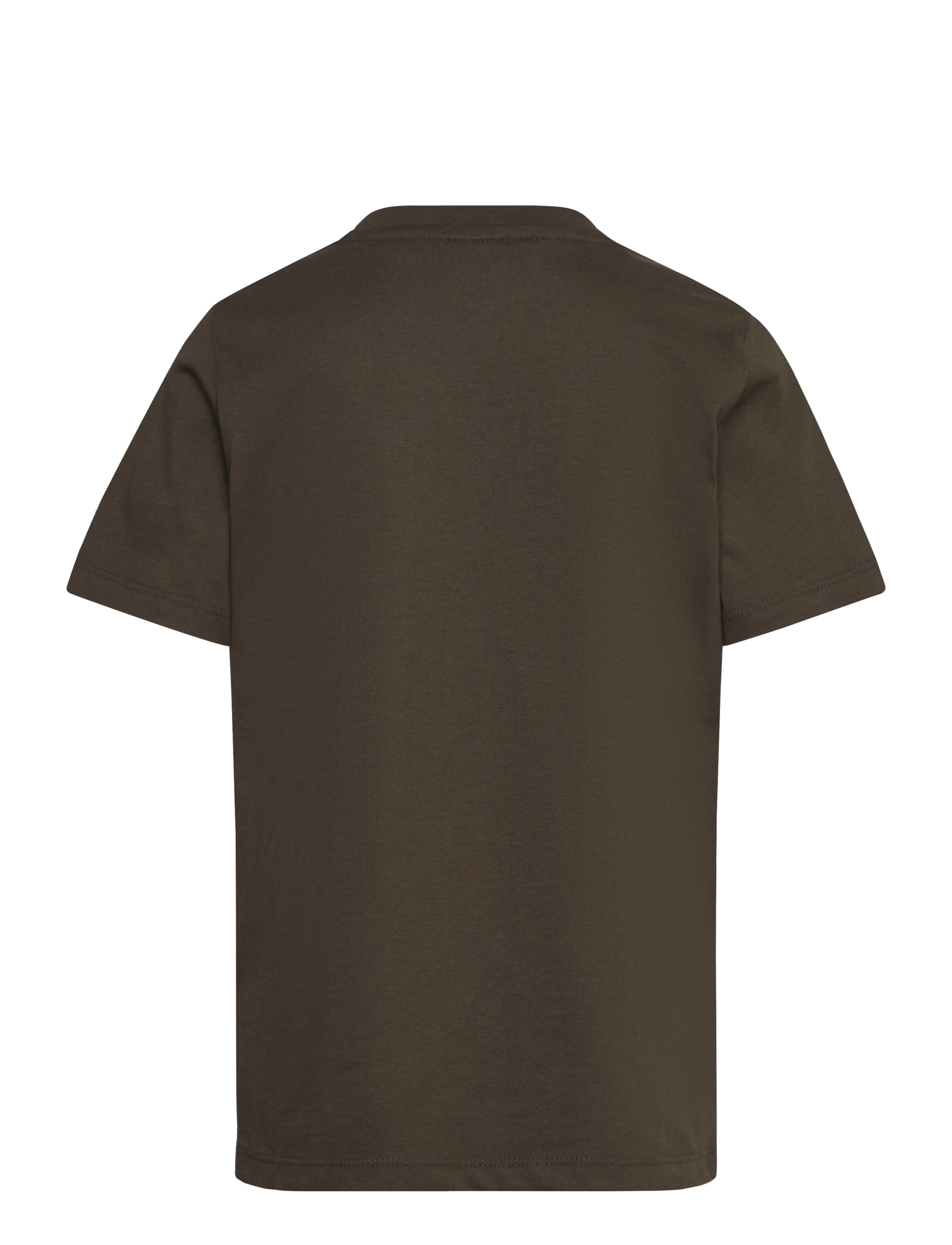 Lyle & Scott - Graphic Eagle T-shirt - olive - 1