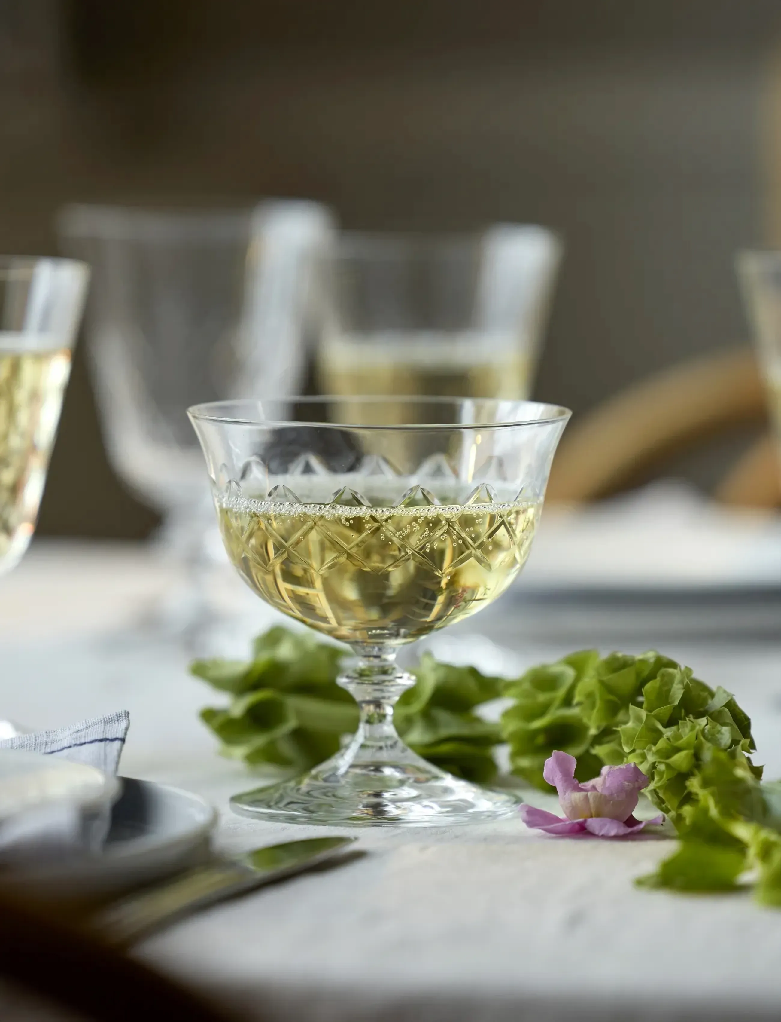 Lyngby Glas Champagneskål Eaton 2 Stk., 28 CL, Glass, Nackt - Champagne Homeware