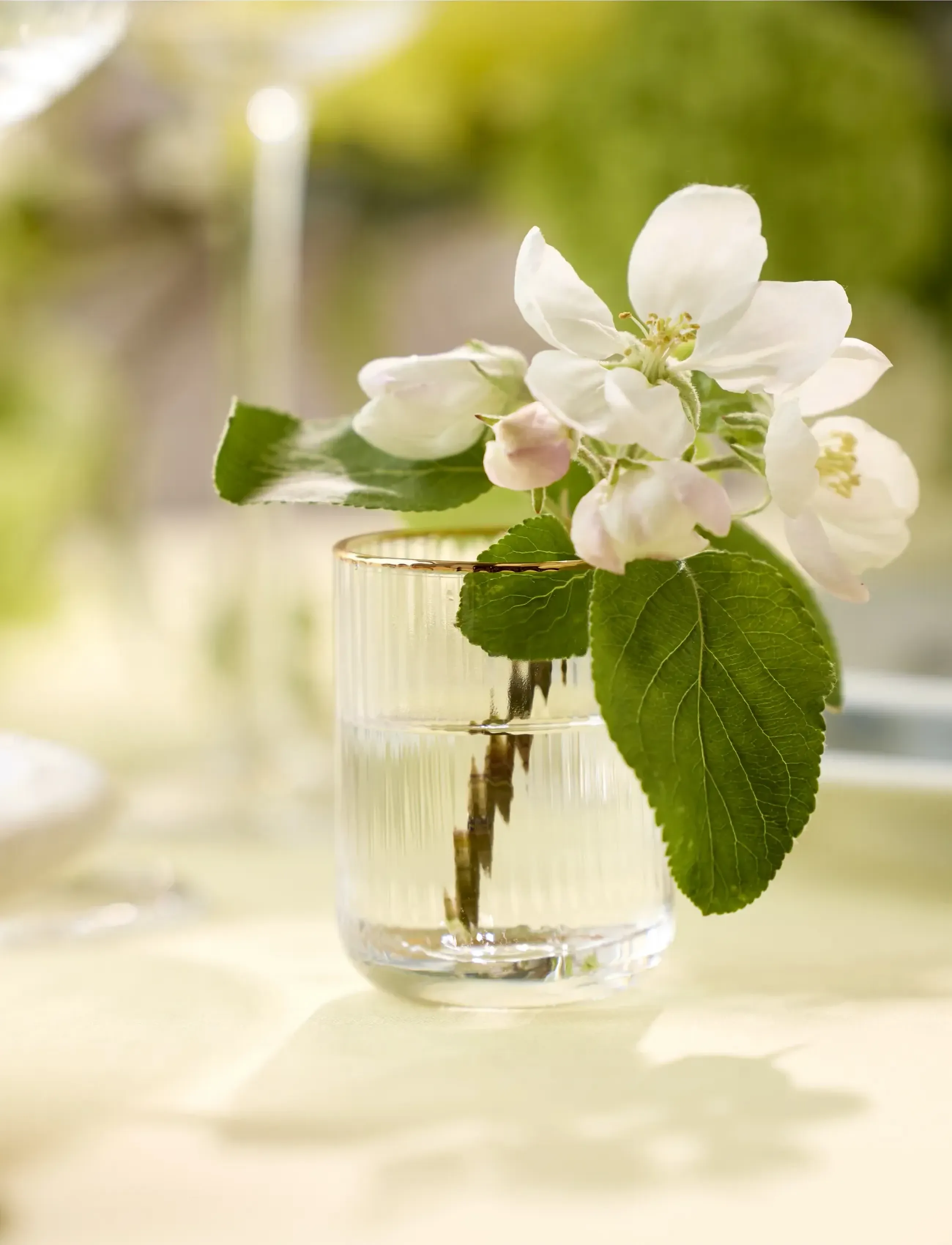 Lyngby Glas Shotglas Palermo Gold 6 Stk., 6 CL, Nude, Glas > Shotglas, Unisex