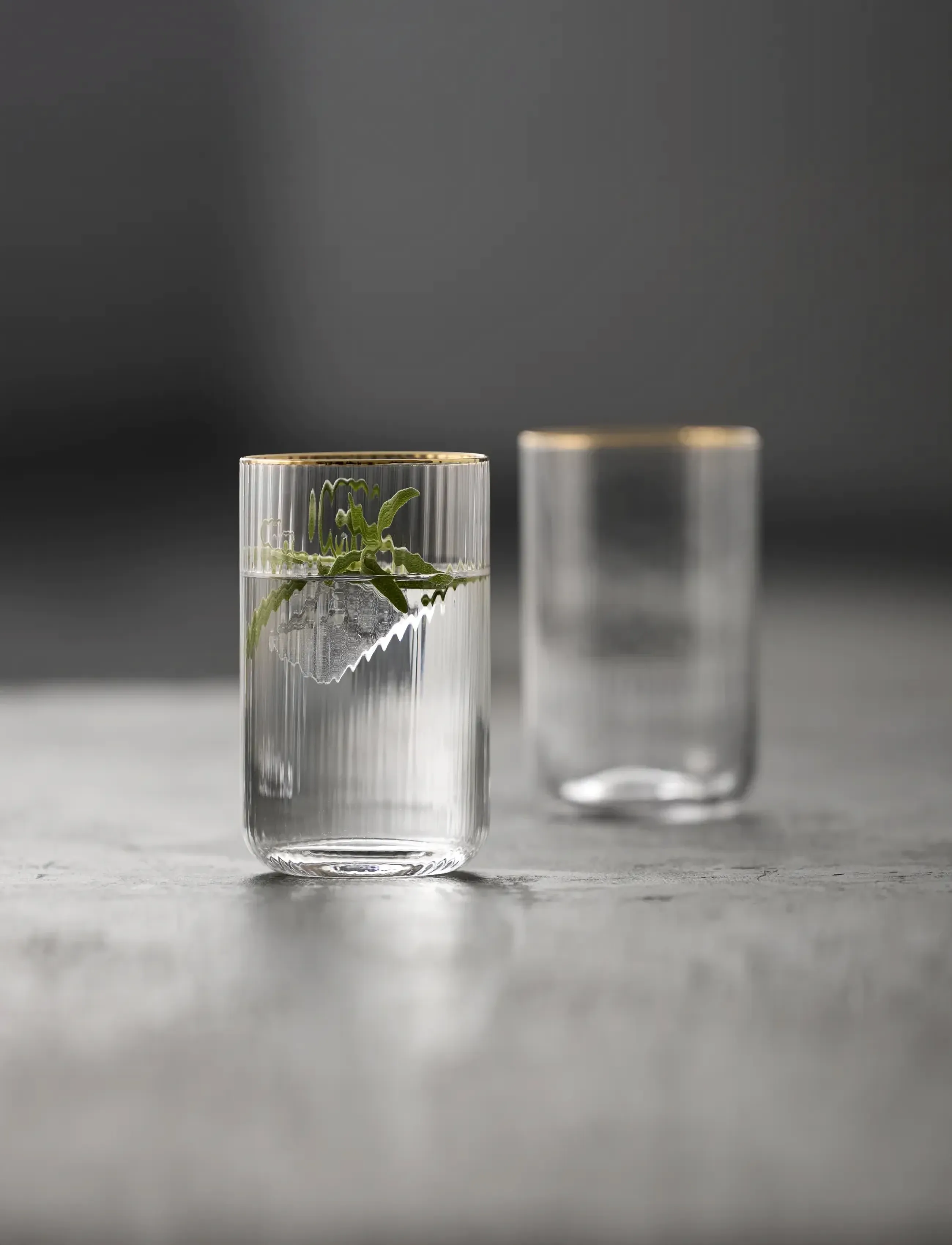 Lyngby Glas Highball Palermo Gold 4 Stk., 50 CL, Glass, Nackt - Drinking Homeware