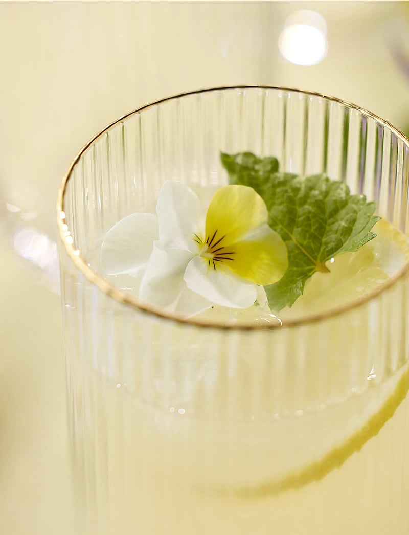 Lyngby Glas - Highball Palermo Gold 4 pcs - trinkgläser - transparent - 4