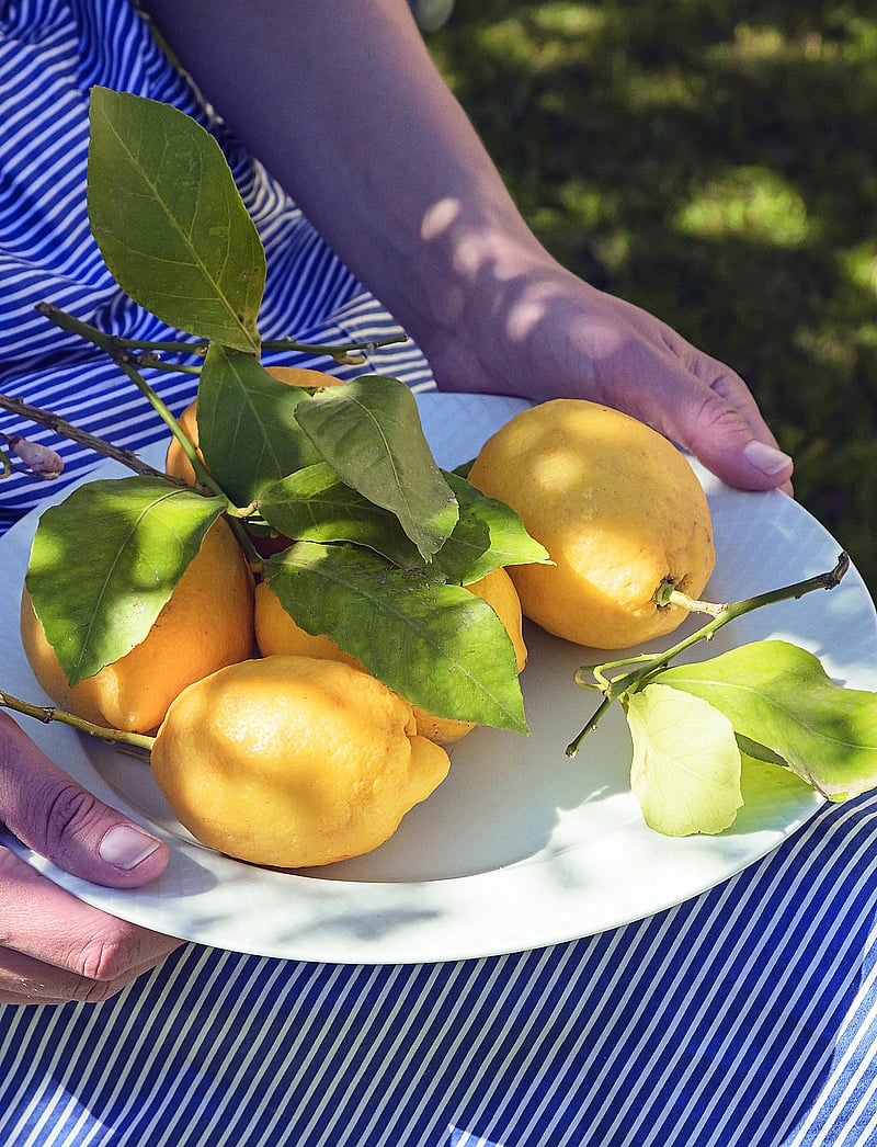 Lyngby Porcelæn - Rhombe Middagstallrik - köp efter pris - white - 5