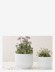 Lyngby Porcelæn - Lyngby Flowerpot - lielas vāzes - white - 1