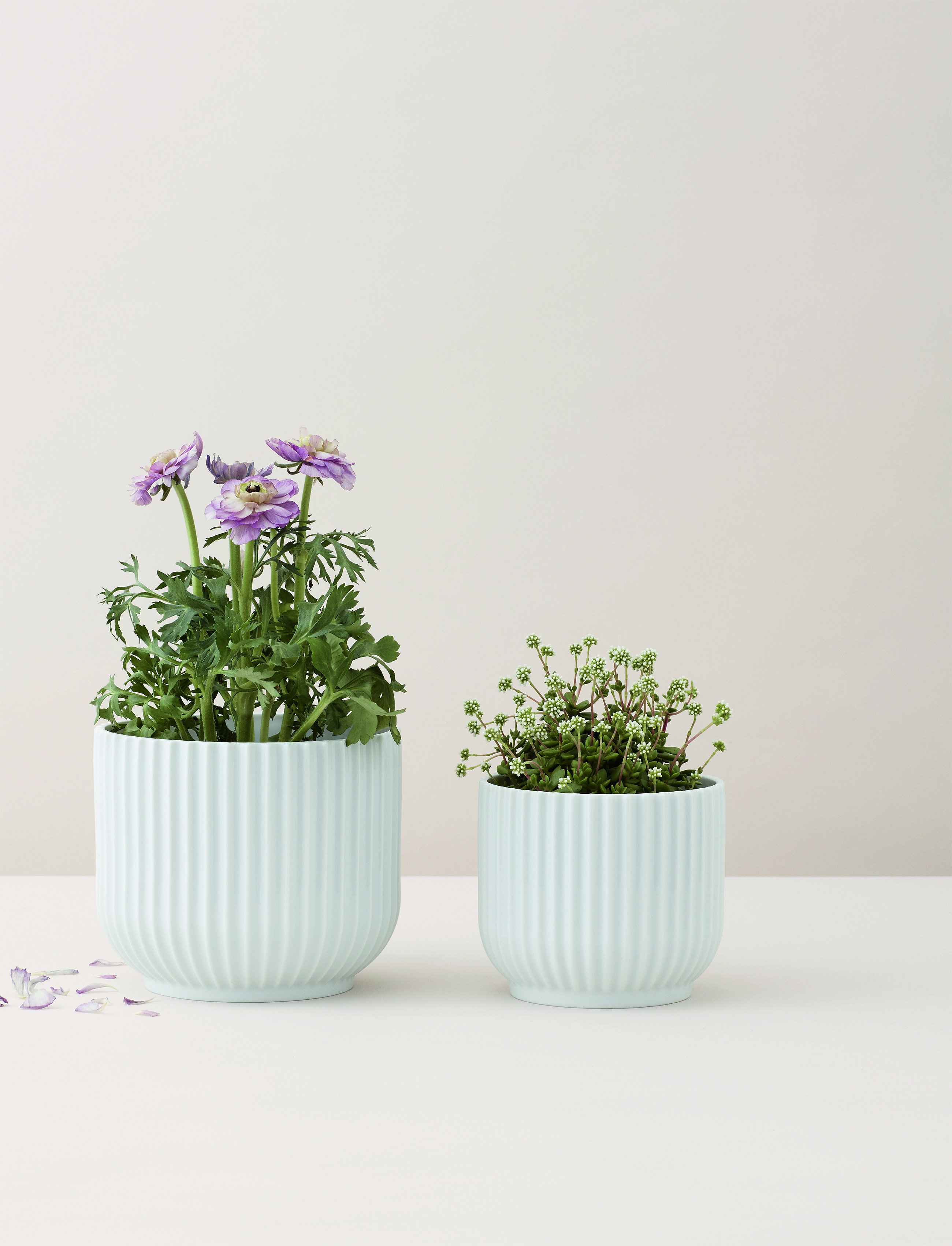 Lyngby Porcelæn Lyngby Urtepotteskjuler, H10.5 cm, White, Vaser > Store Vaser, Unisex