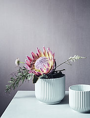 Lyngby Porcelæn - Lyngby Flowerpot - isot maljakot - white - 3