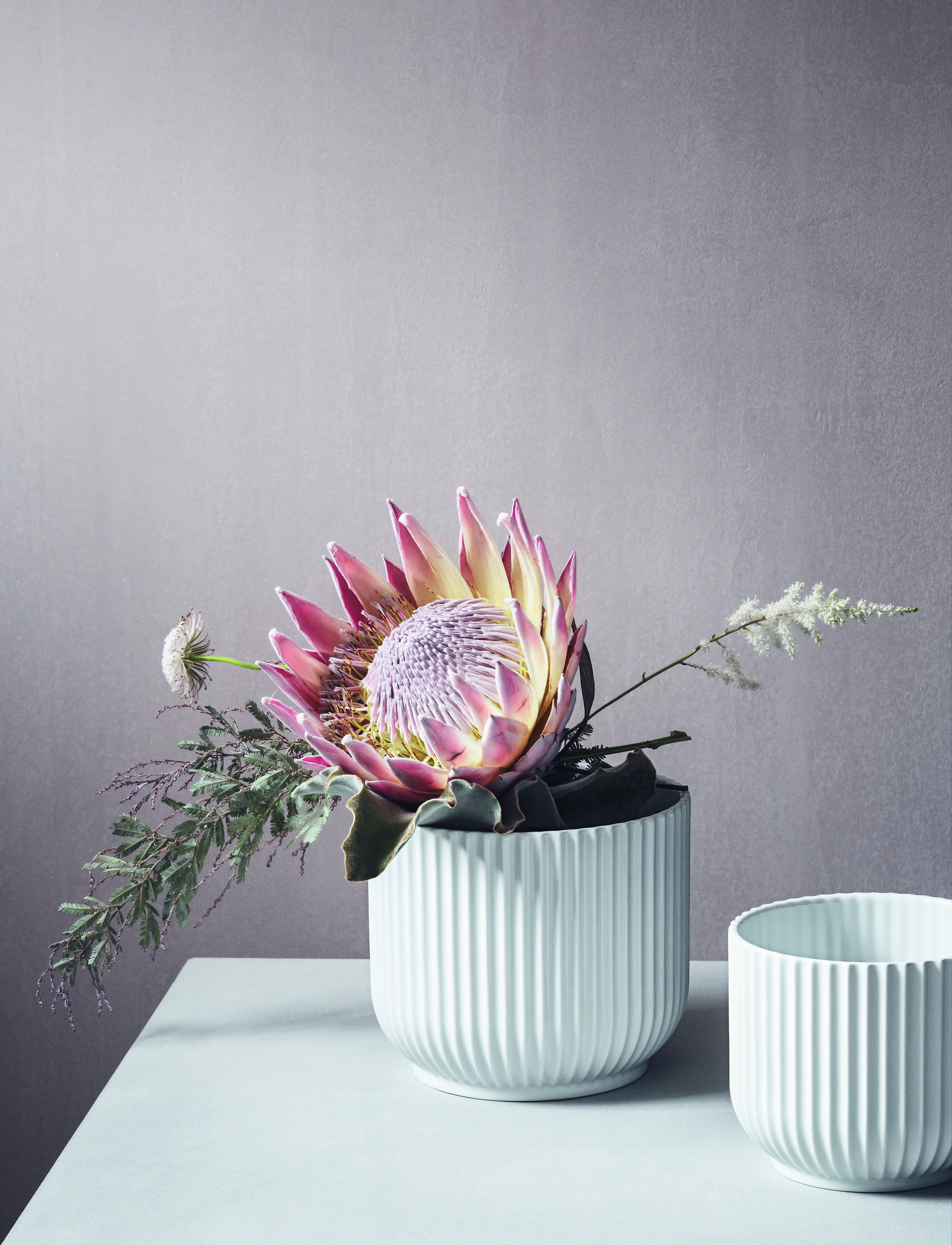 Lyngby Porcelæn - Lyngby Flowerpot - blumentöpfe - white - 2