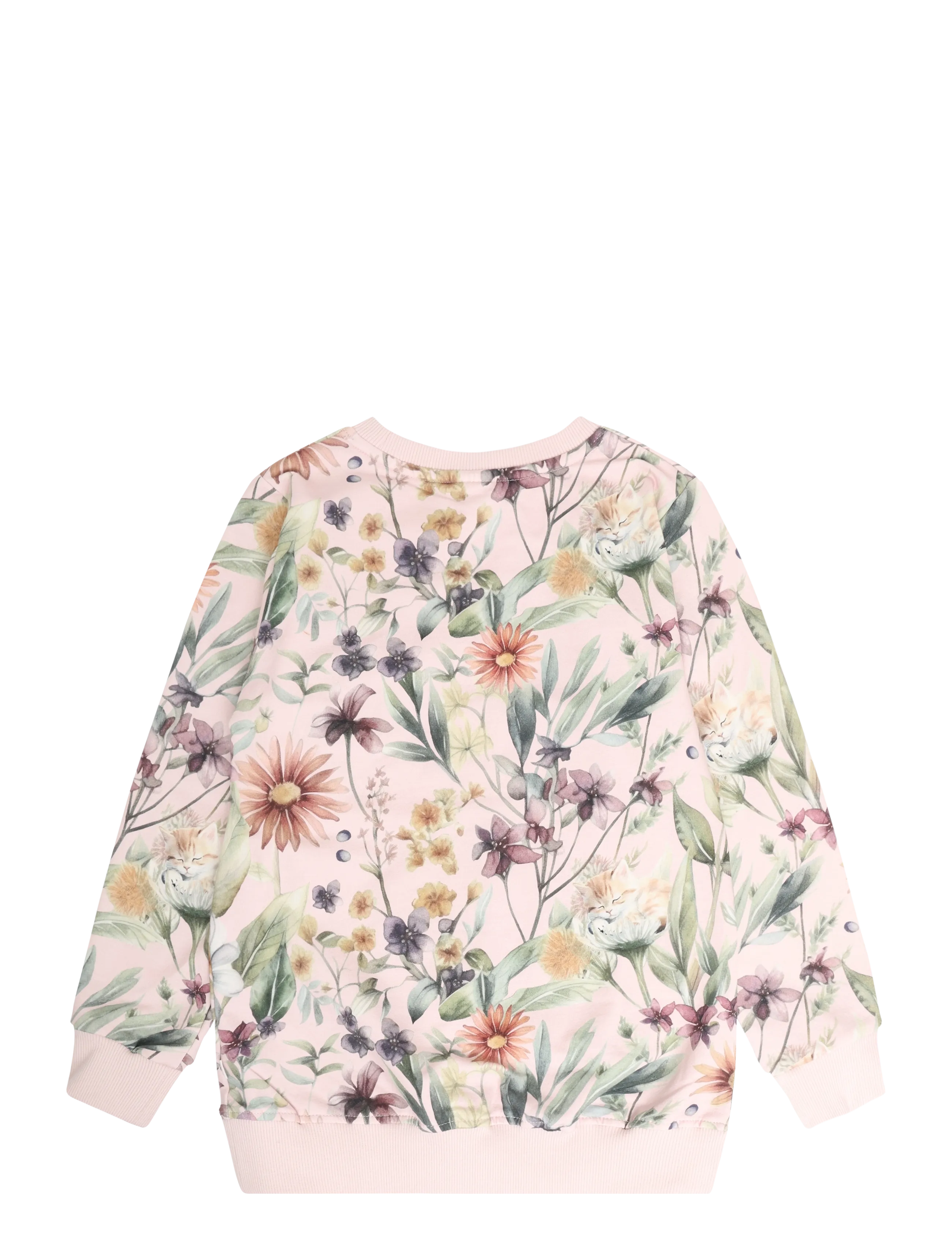 Maia Family - KATTMYNTA COLLEGETRÖJA - sweatshirts - pink - 1