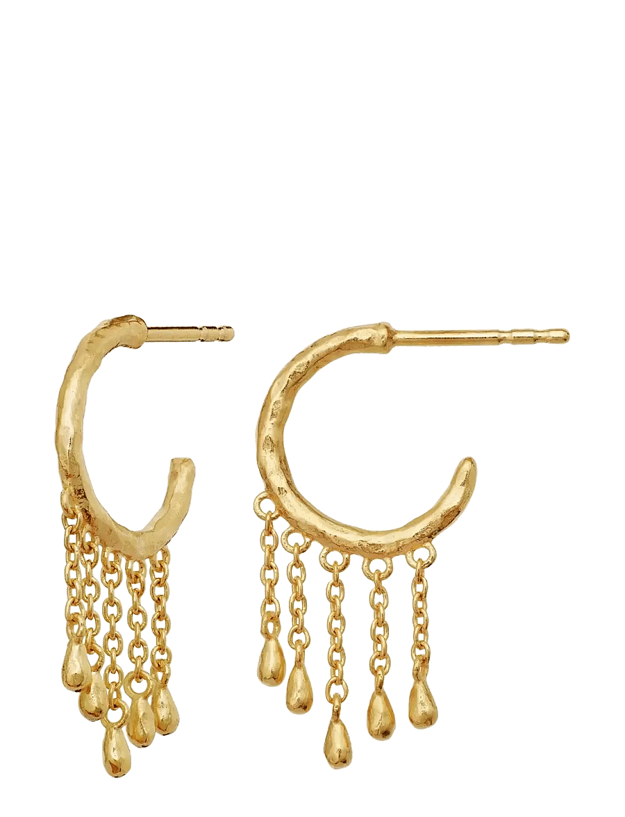 Maanesten - Wendy Earrings - rippuvad kõrvarõngad - gold - 3