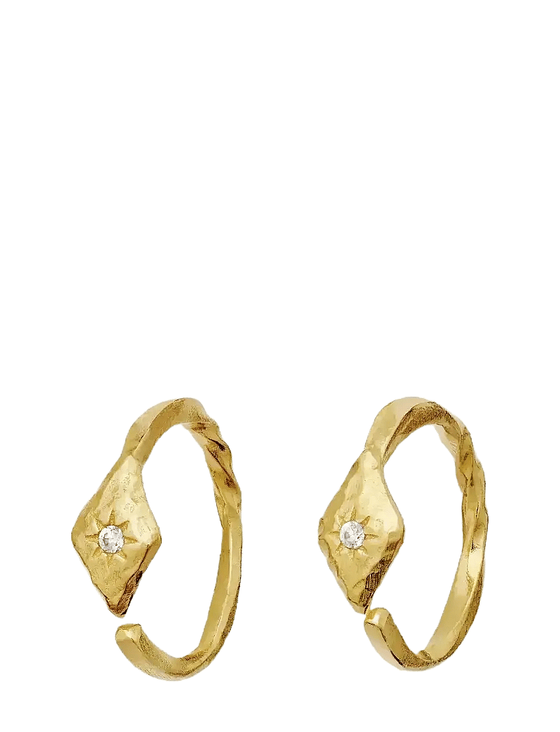 Maanesten - Forte Earrings - gold - 1