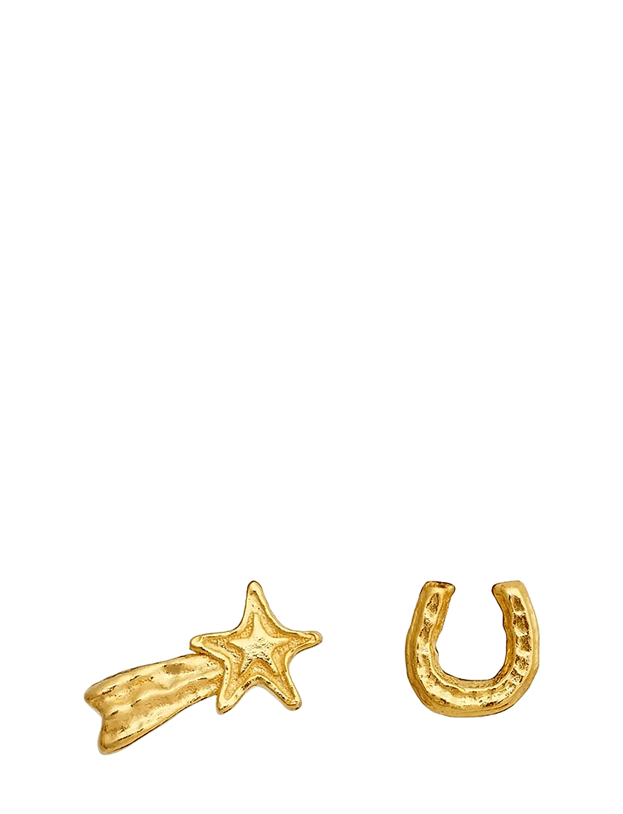 Maanesten - Tira Earrings - neet-kõrvarõngad - gold - 1