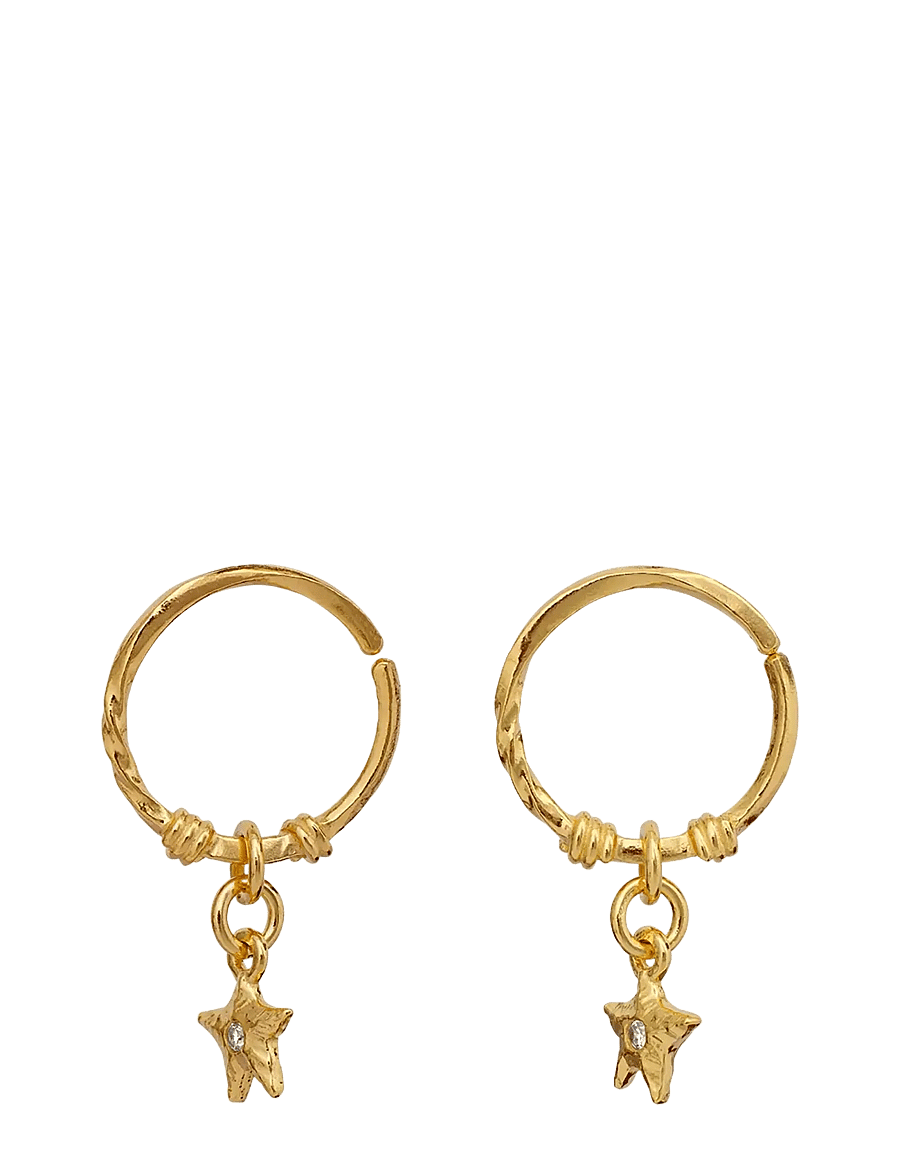 Maanesten - Isleen Earrings - Øreringe med vedhæng - gold - 1